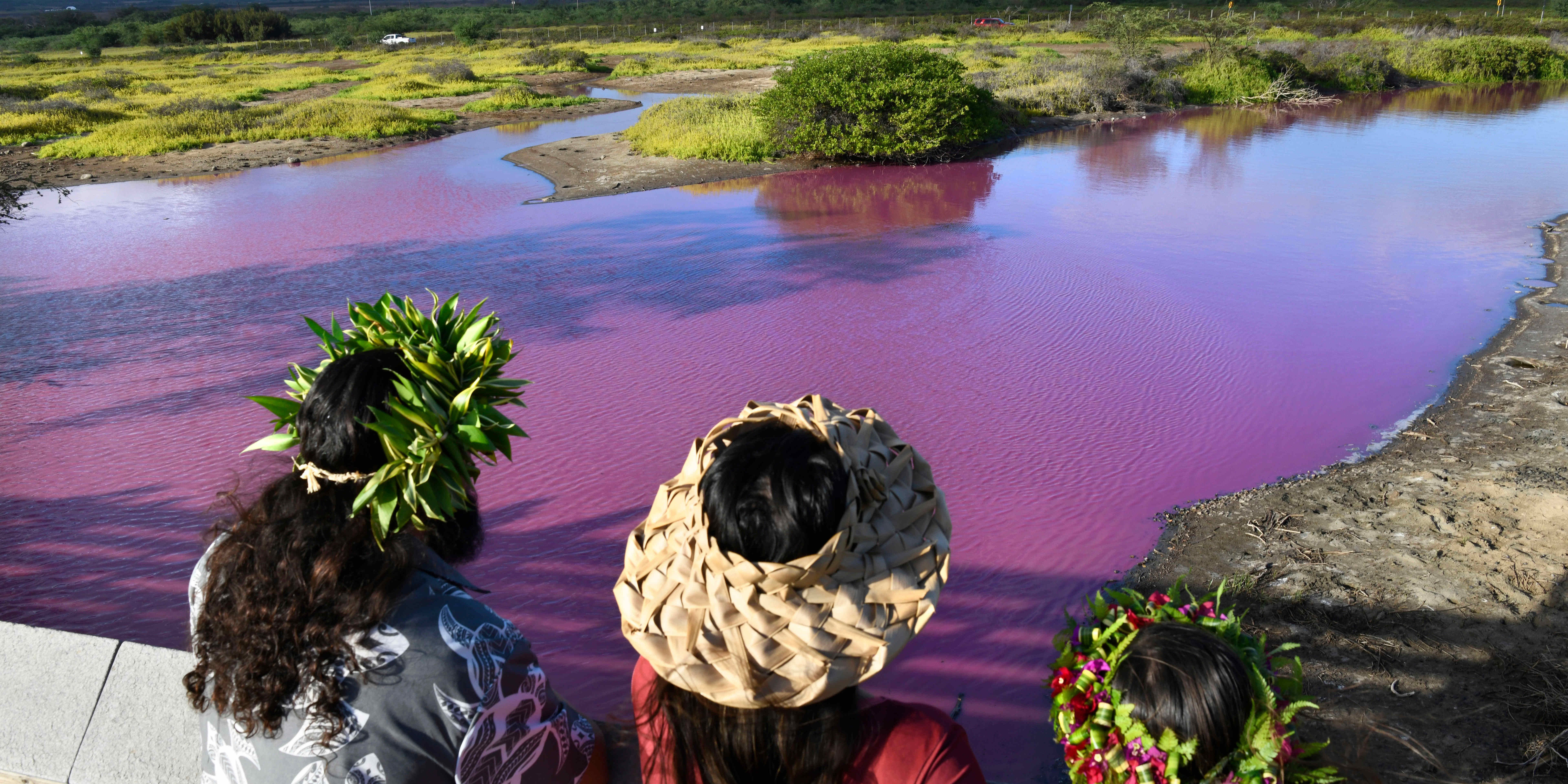 Shad Hanohano, from left, Leilani Fagner and their daughter Meleana Hanohano view the pink water at the Kealia Pond National Wildlife Refuge in Kihei, Hawaii on Wednesday, Nov. 8, 2023. Officials in Hawaii are investigating why the pond turned pink, but there are some indications that drought may be to blame. (Matthew Thayer/The Maui News via AP)