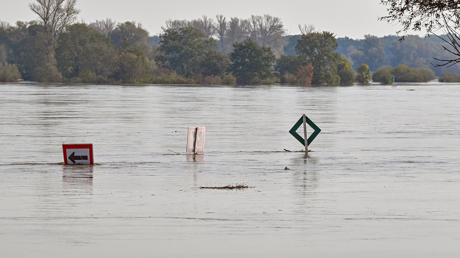 Seit Tagen bereiten sich die Orte entlang des deutsch-polnischen Grenzflusses Oder auf eine Versch&auml;rfung der Hochwasserlage vor. Auf dem Bild zu sehen sind Schilder f&uuml;r die Schifffahrt, die am Zusammenfluss der Nei&szlig;e in den Fluss Oder im Hochwasser stehen. Foto: Patrick Pleul/dpa +++ dpa-Bildfunk +++