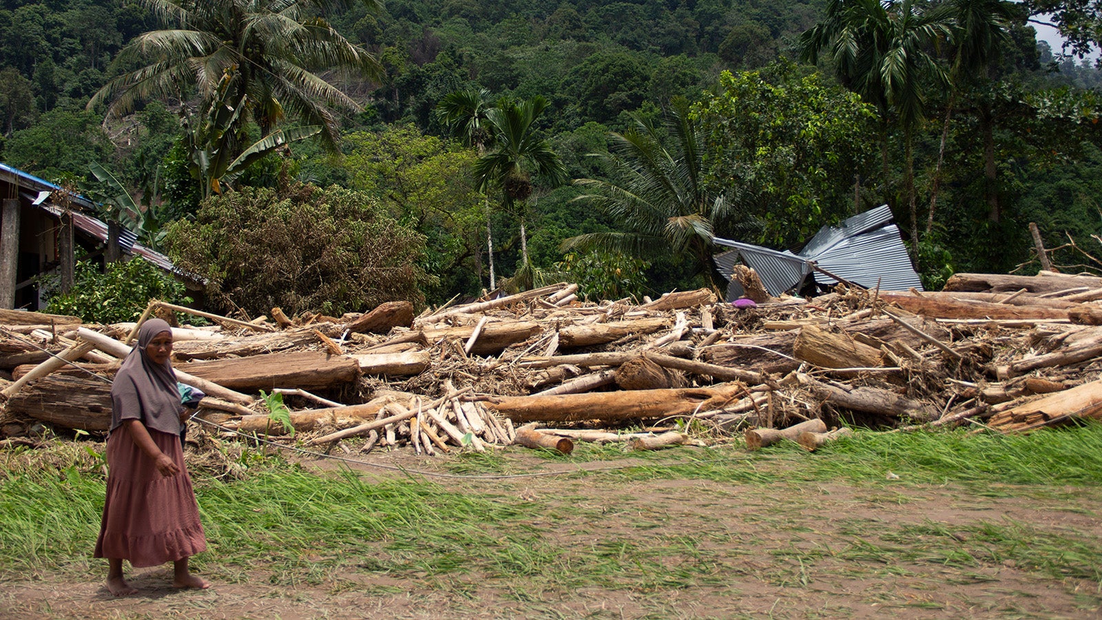 Eine Frau geht in der N&auml;he von Baumst&auml;mmen spazieren, die in ein von einer Sturzflut betroffenes Viertel in Pesisir Selatan, West-Sumatra, Indonesien, gesp&uuml;lt wurden. Foto: Mavendra JR/AP