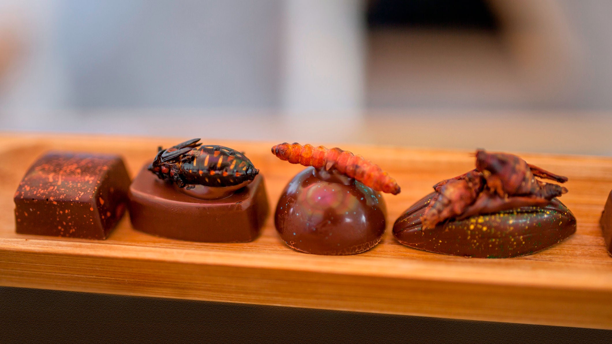 Chocolate bars with Chinicuil, Chahuis  and, chapulines (grasshoppers) edible insects

This is a very tasty insect, it grows on the Agave plants in arid areas, in Mexico, you can get it mostly from Hidalgo, Jalisco, Tlaxcala, Oaxaca States, this is the worm the Mexicans add to the Mezcal drink or crush it in salt to use it together with mezcal drink.

The way to eat it in tacos is to fry it in a clay jar and add it to tacos. 

The color of the worm is red

we also see large grasshoppers or big chapulines

After being thoroughly cleaned and washed, they are toasted on a comal clay pan and they are prepared with garlic, lime juice and salt containing extract of agave worms, lending a sour spicy salty taste to the finished product. 

Sometimes the grasshoppers are also toasted with chili, although it can be used to cover up for stale chapulines.

You can find snacks of grasshoppers all over Mexico

This is a close-up​ photo of the Mexican dish, ready to be eaten.

In the left, Chah​uis or xamoes are the common names given in Mexico to a variety of edible beetles within the insect order Coleoptera. This insect common names in English are often, stick worms, rhinoceros beetle, or grub.

These bugs eat mainly from the mesquite tree, and they have to be fully cooked, if you don't toast them well, they will have a bitter flavor.