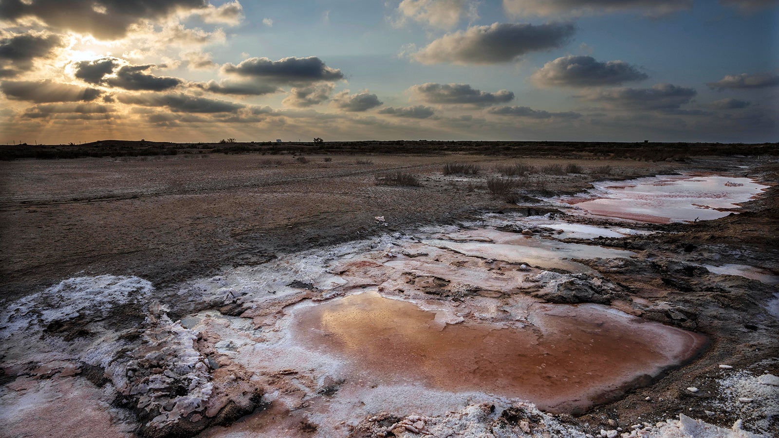 Im Nildelta sind die Folgen des Klimawandels f&uuml;r &auml;gyptische Bauern bereits sp&uuml;rbar: Einsickerndes Salz frisst Wurzeln weg, verkrustet Felder - und macht sie unbenutzbar. Foto: Nariman El-Mofty/AP/dpa