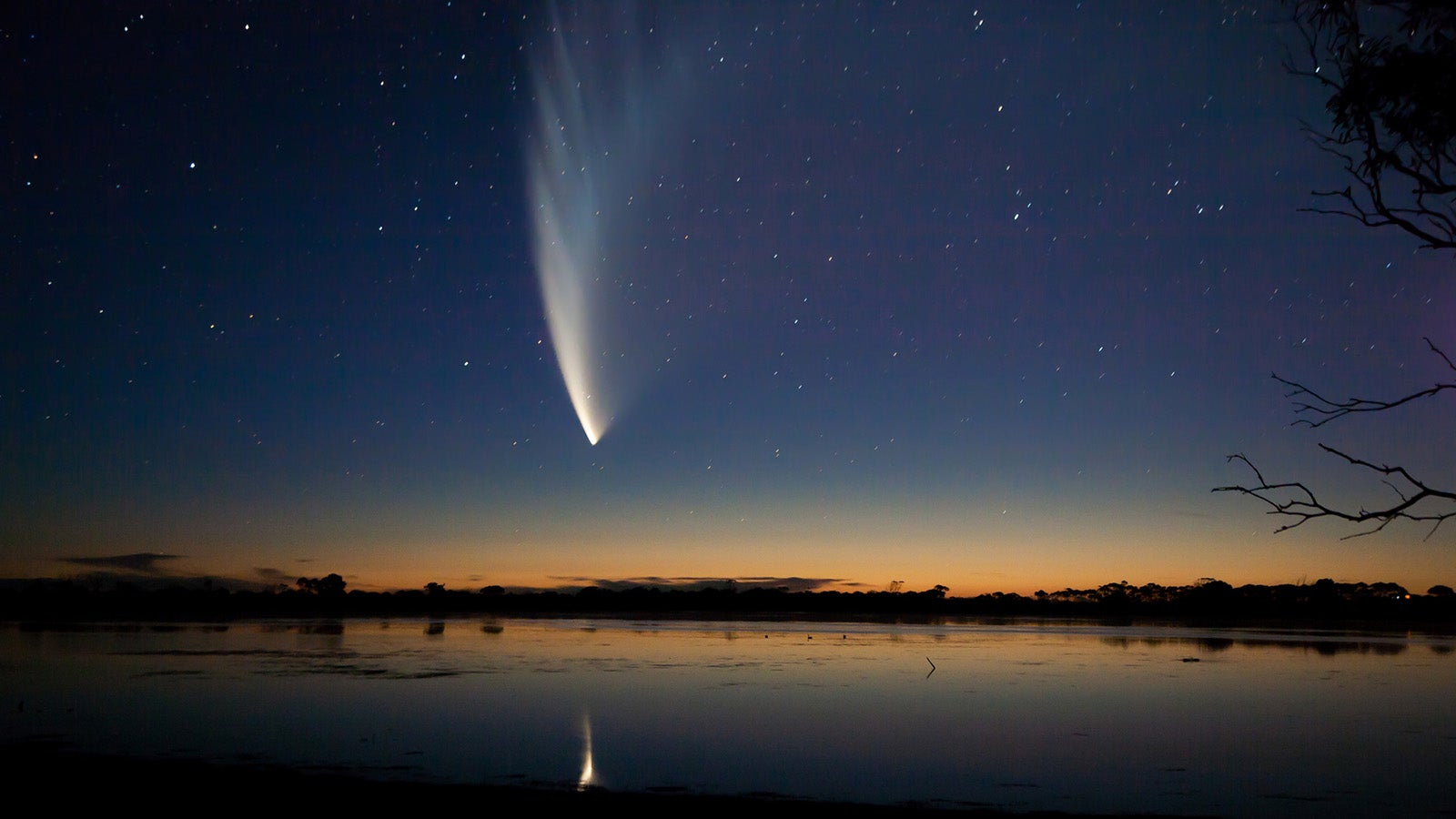 McNaughts Comet over Big Swamp 2007. Eyre Peninsula. South Australia.