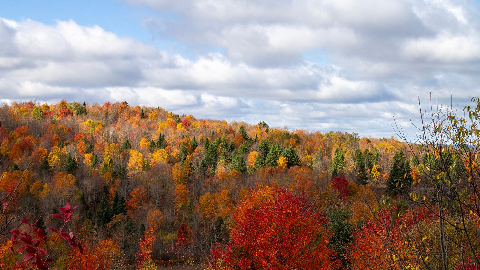 Herbstenthusiasten freuen sich allj&auml;hrlich auf das Naturspektakel. Endlich hat die Laubverf&auml;rbung in den amerikanischen Neuengland-Staaten und jenseits davon hat eingesetzt - allj&auml;hrlich ein pr&auml;chtiges Schauspiel, das Besucher in Scharen anzieht.