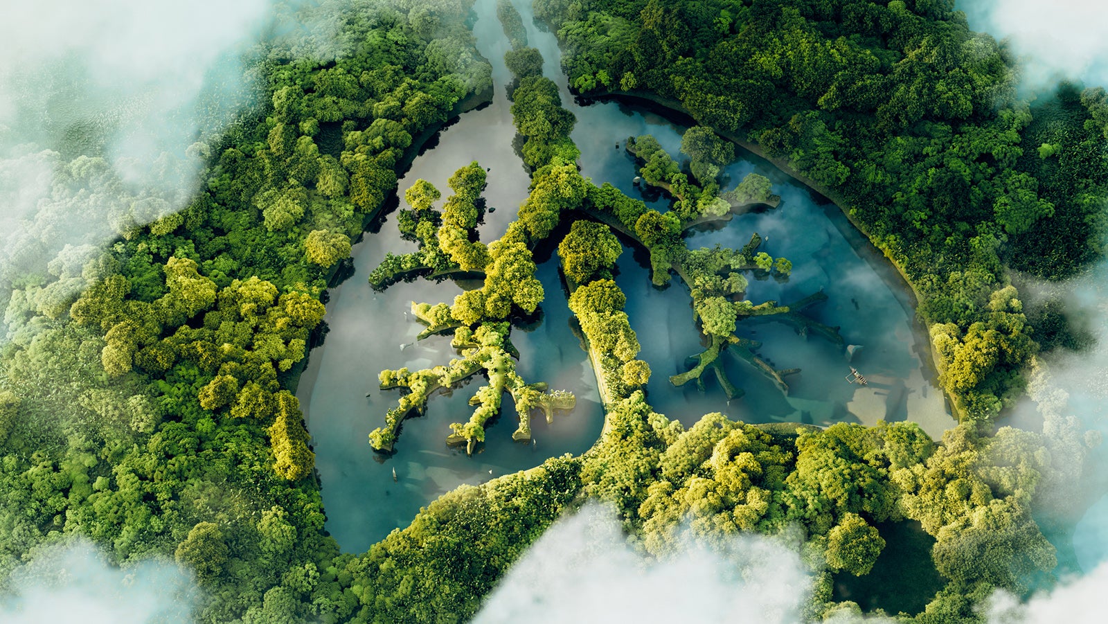 A conceptual image showing a lung-shaped lake in a lush and pristine jungle. 3d rendering.
