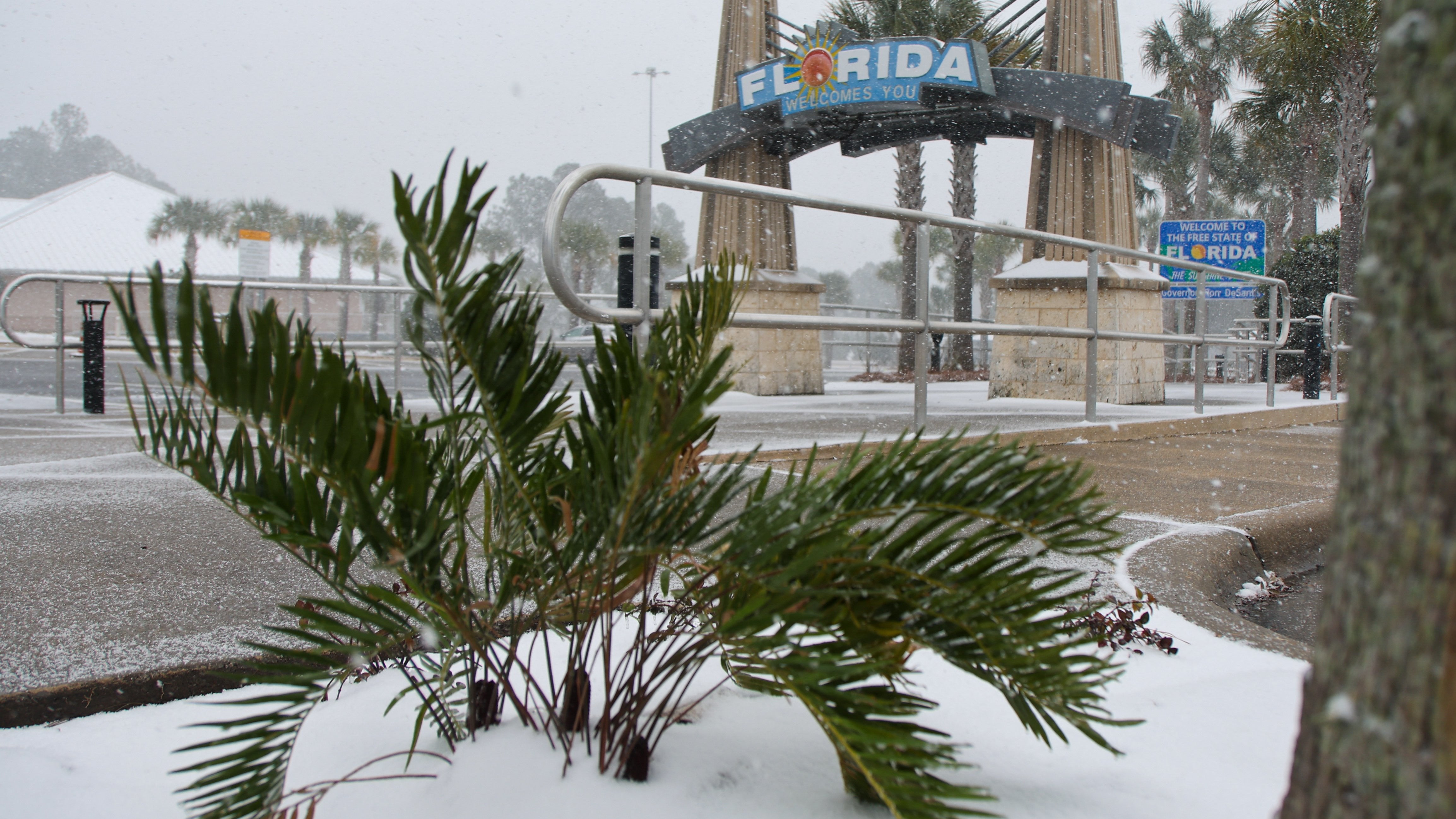 21.01.2025, USA, Pensacola: In Pensacola f&auml;llt am Florida Welcome Center heftiger Schnee. Es werden bis zu f&uuml;nf Zentimeter erwartet. Foto: Luis Santana/Tampa Bay Times/ZUMA Press Wire/dpa +++ dpa-Bildfunk +++