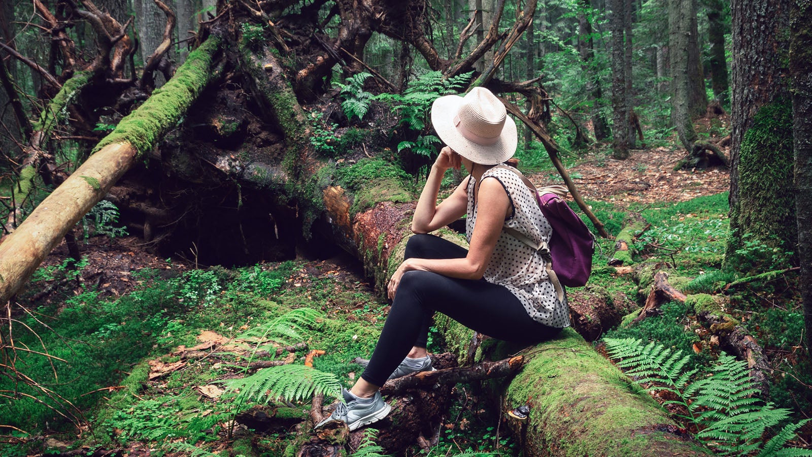 Woman resting on broken tree in rain forest