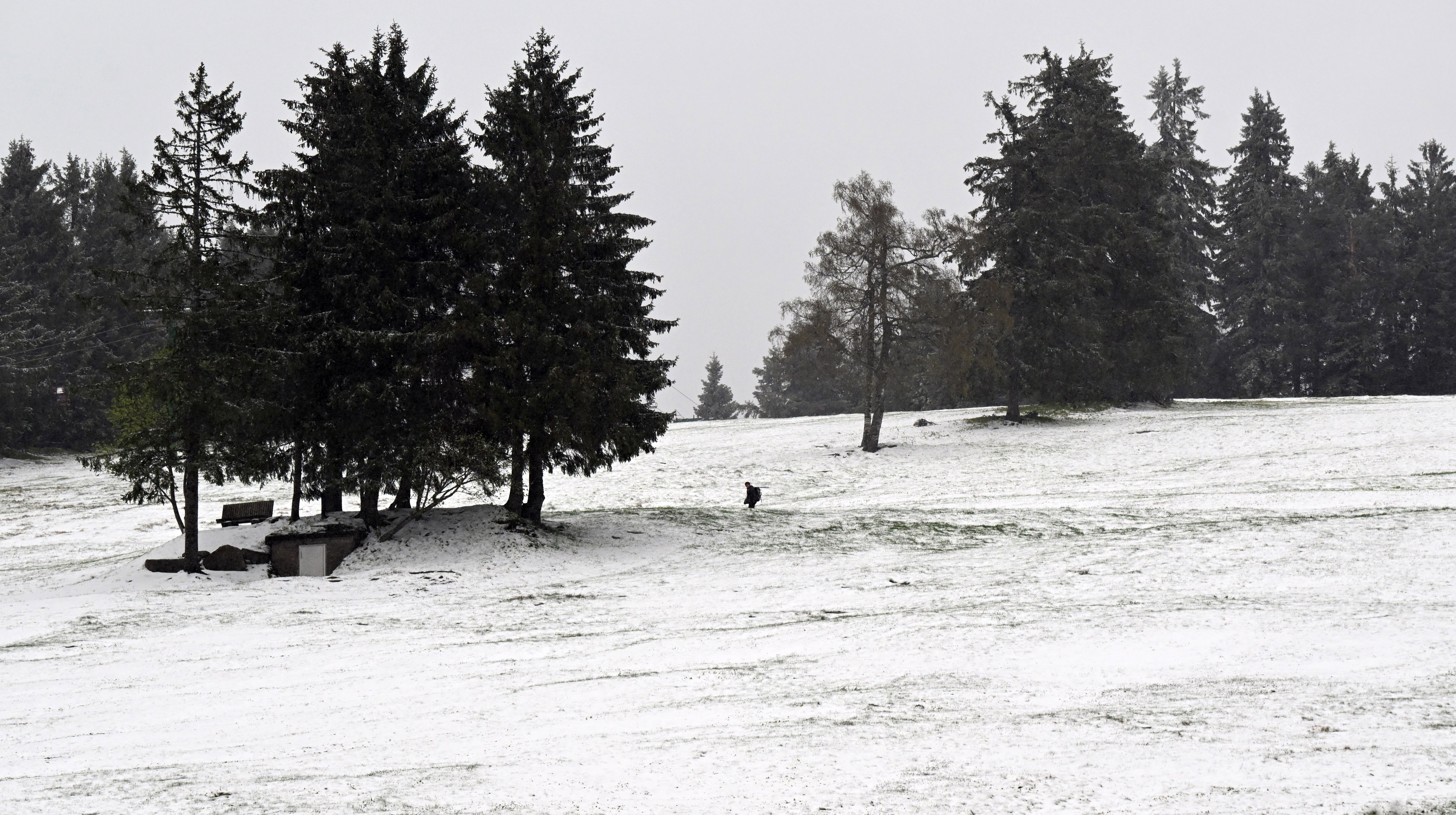 Am Ruhestein im Schwarzwald lag am Dienstagmorgen Neuschnee am Hang. 
Foto: Uli Deck/dpa