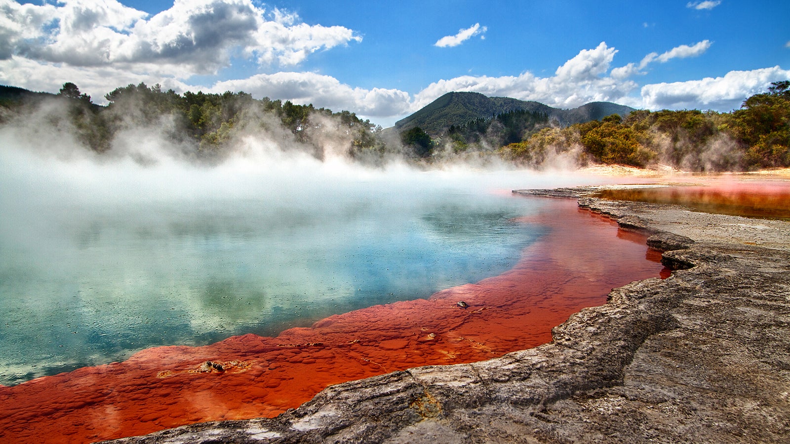 Die hei&szlig;en Schwefelquellen in Rotorua leuchten orange und t&uuml;rkis.