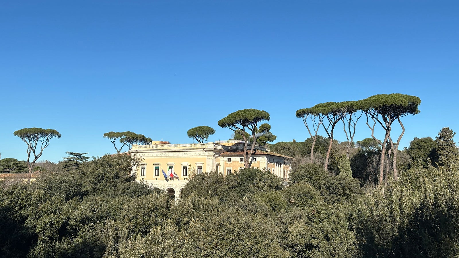 ARCHIV - 05.02.2026, Italien, Rom: Pinien und andere B&auml;ume sind in dem r&ouml;mischen Park Villa Borghese zu sehen. (zu dpa: &laquo;Roms Pinien in Gefahr: Droht das gro&szlig;e Baumf&auml;llen?&raquo;) Foto: Robert Messer/dpa +++ dpa-Bildfunk +++