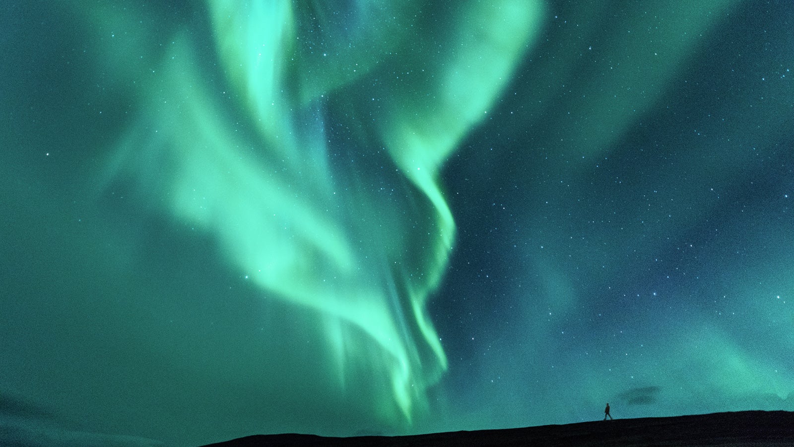 Ein Mensch geht spazieren und der Nachthimmel wird von Polarlichtern erhellt. 