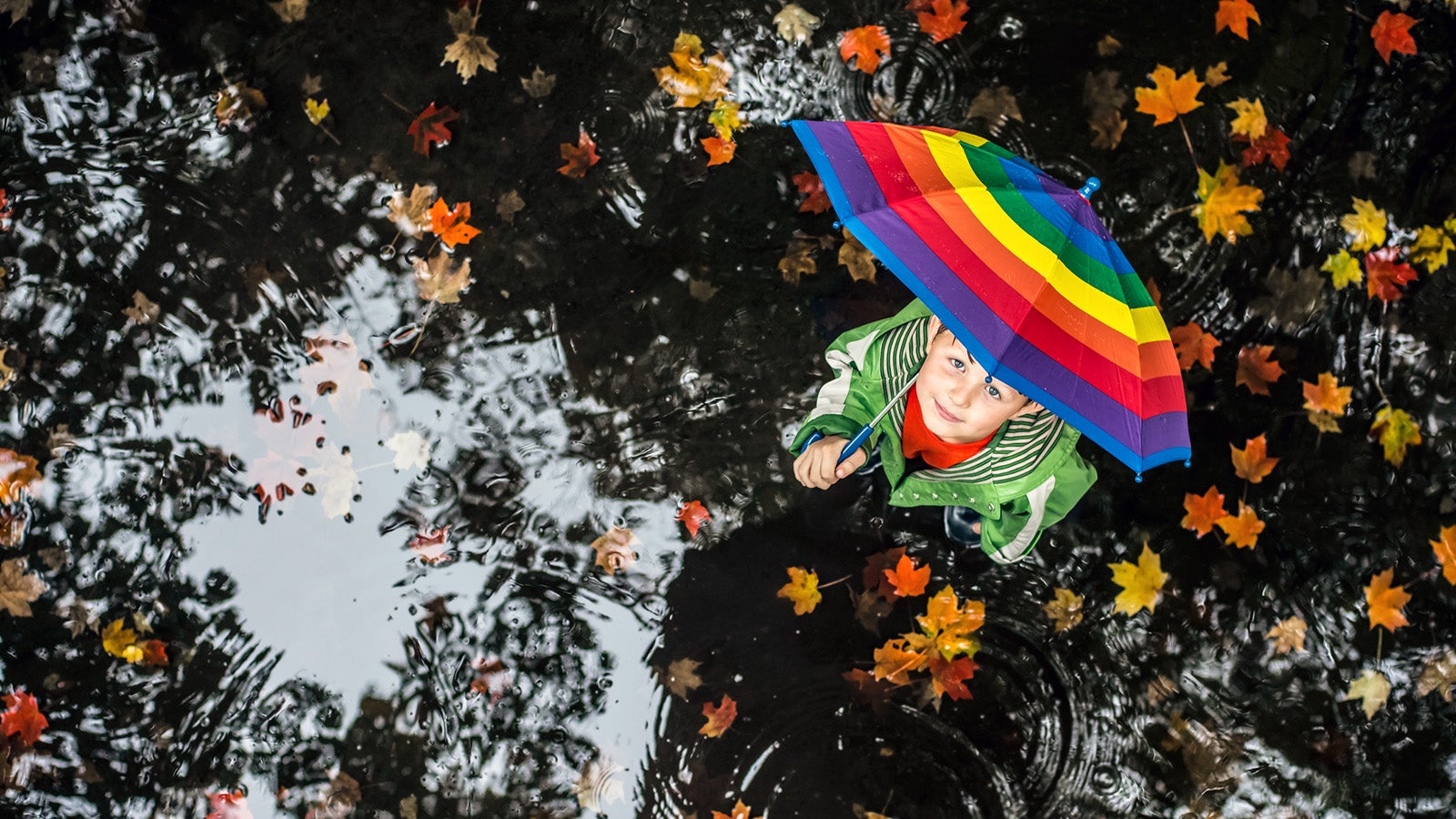 Little boy standing in the water puddle on the rainy day with colorful umbrella and looking up.