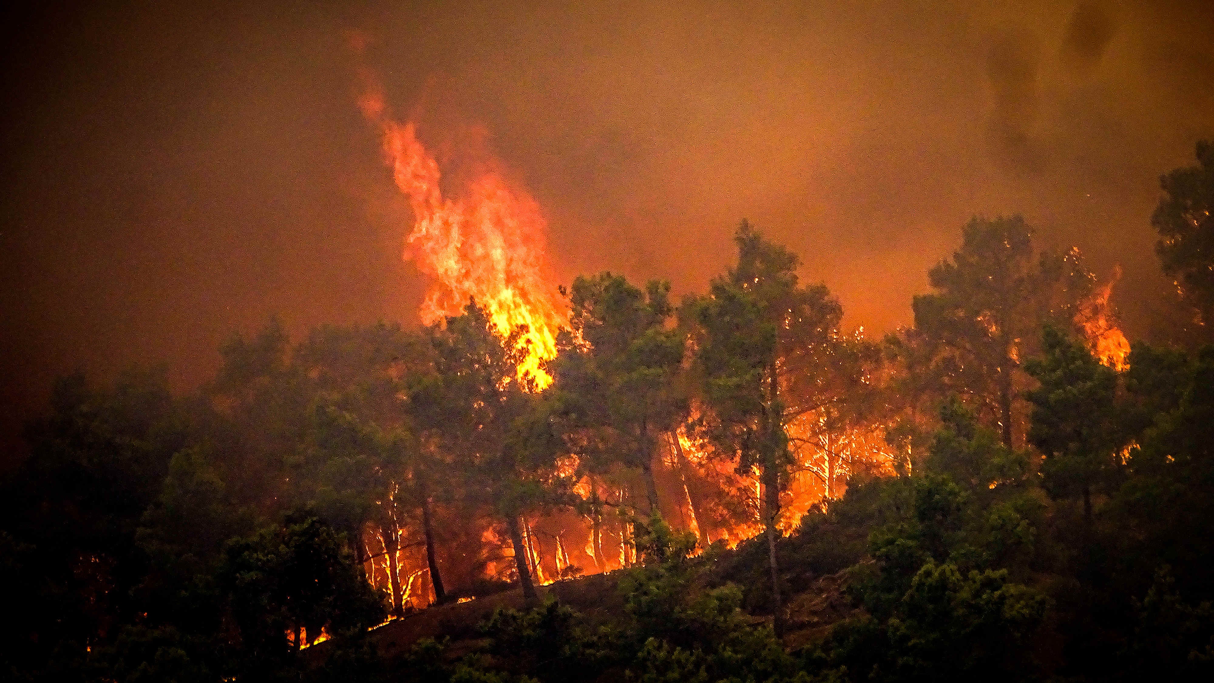 dpatopbilder - 22.07.2023, Griechenland, Rhodos: Flammen sind bei einem gro&szlig;en Waldbrand auf der griechischen Insel Rhodos zu sehen. Der gro&szlig;e Waldbrand, der auf Rhodos bereits den f&uuml;nften Tag andauert, hat die Beh&ouml;rden gezwungen, die Evakuierung von vier Orten, darunter zwei Badeorte, anzuordnen. Foto: Argyris Mantikos/Eurokinissi/AP/dpa +++ dpa-Bildfunk +++
