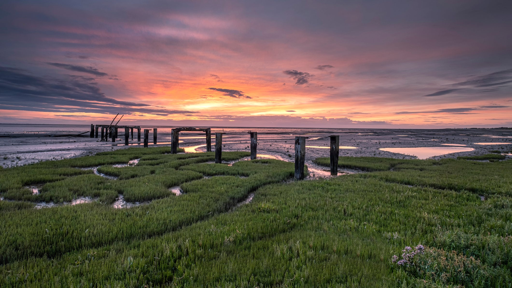 The decaying jetty on the beach at Snettisham near to heacham on the wash