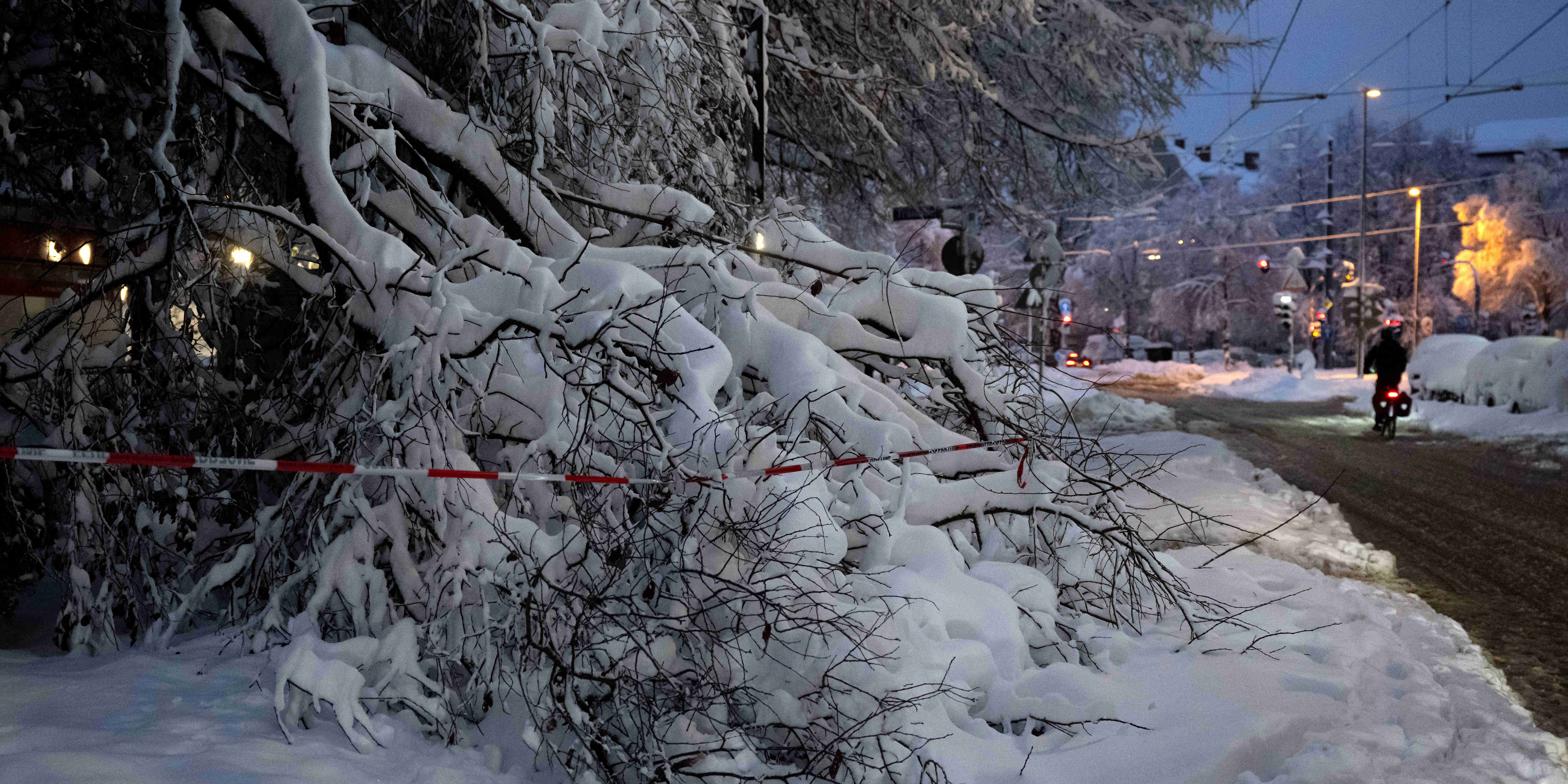 02.12.2023, Bayern, M&uuml;nchen: Ein durch die Schneelast abgebrochener Ast h&auml;ngt &uuml;ber einem Gehweg. Schnee und Eis haben in S&uuml;ddeutschland am Samstag zu gro&szlig;en Beeintr&auml;chtigungen gef&uuml;hrt. Foto: Sven Hoppe/dpa +++ dpa-Bildfunk +++