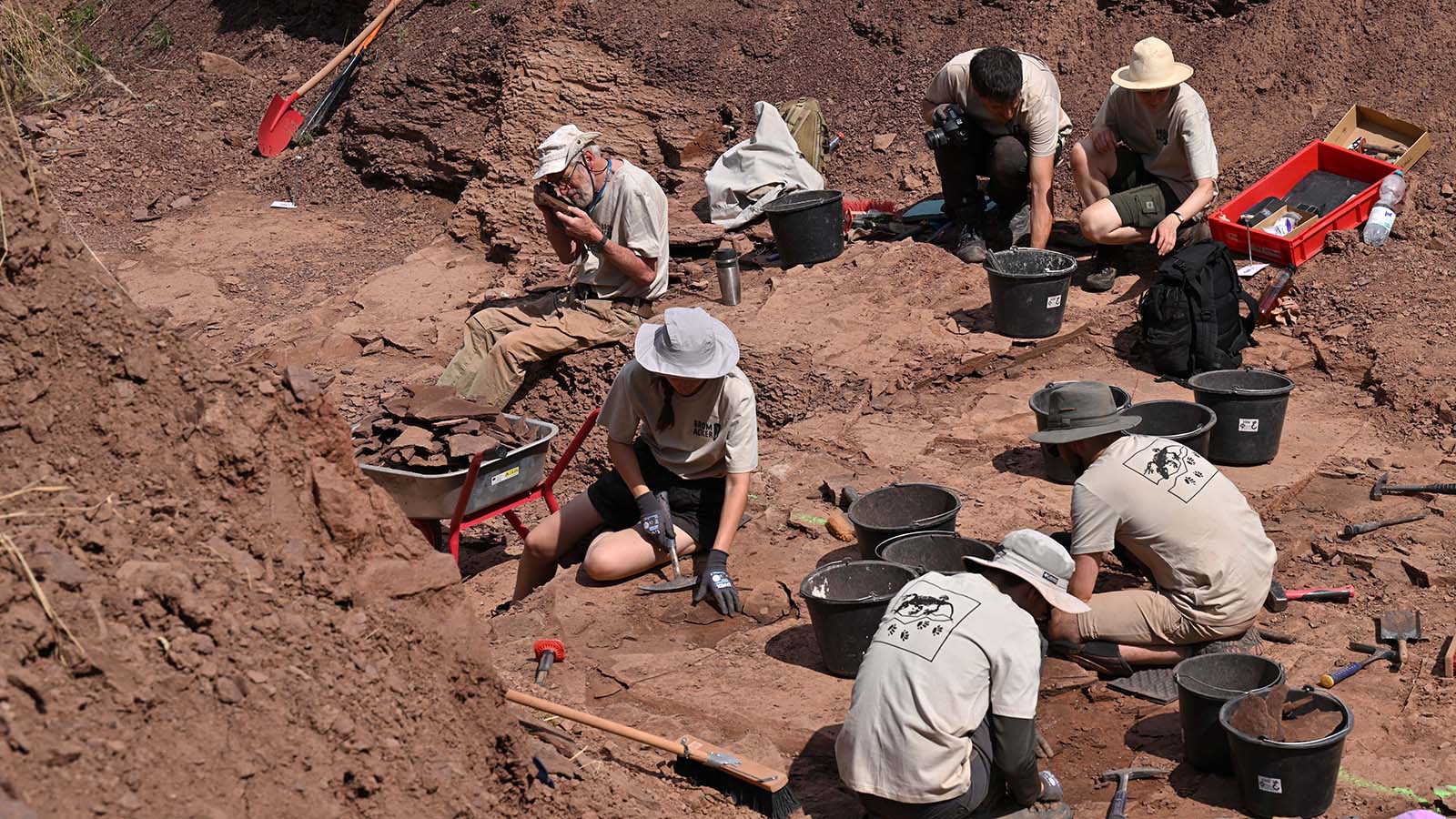 ARCHIV - 19.07.2023, Th&uuml;ringen, Gotha: Wissenschaftler suchen bei der Sommergrabung 2023 an der Fossillagerst&auml;tte am Bromacker nach &Uuml;berbleibseln von Ursauriern und anderen Spuren aus der Zeit vor 290 Millionen Jahren. In diesem Jahr graben rund 40 Forscher bis zum 9. August wieder im Th&uuml;ringer Wald. (zu dpa: &laquo;Forscher suchen wieder nach &Uuml;berbleibseln von Ursauriern&raquo;) Foto: Martin Schutt/dpa +++ dpa-Bildfunk +++