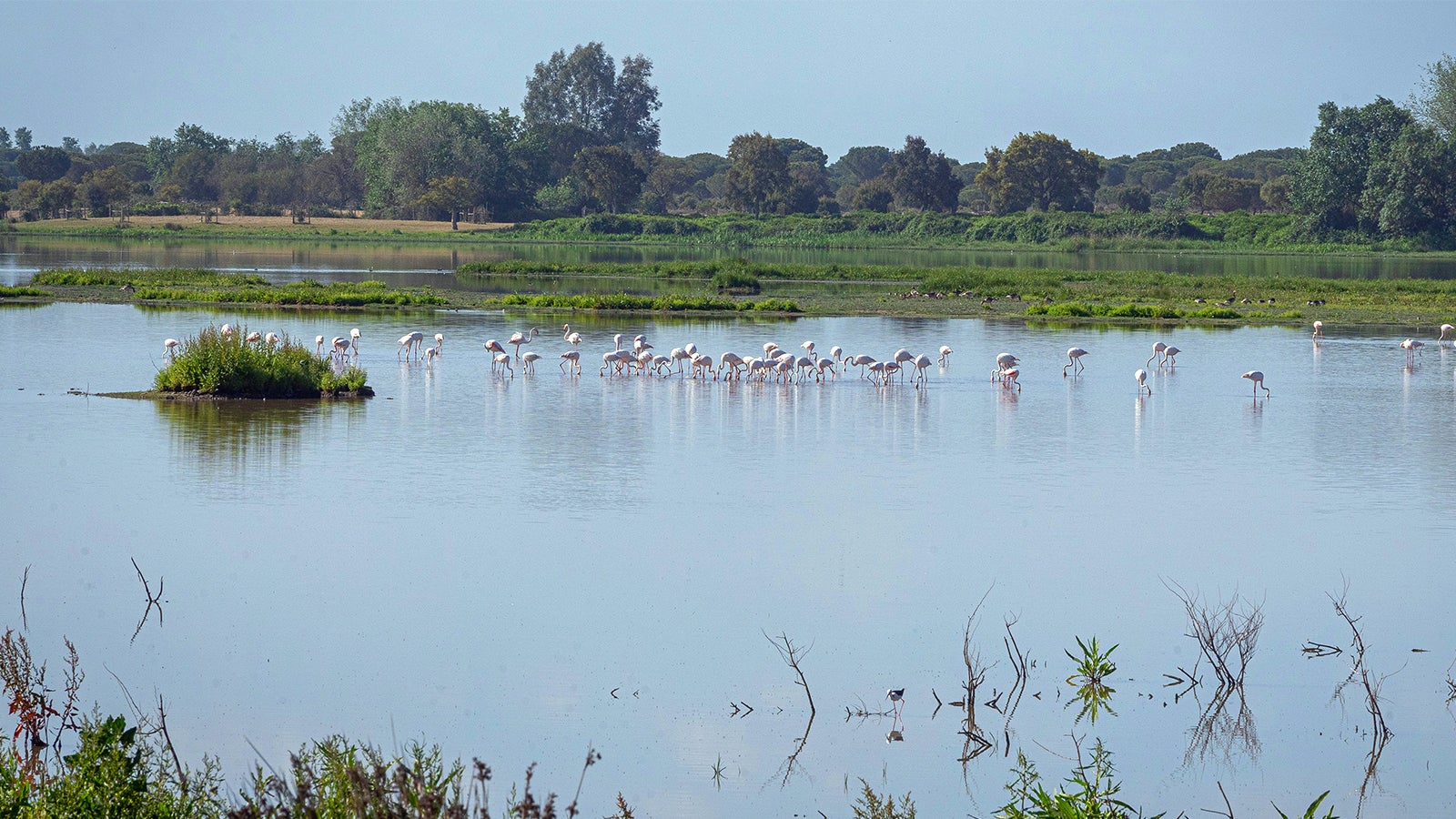 Spaniens Zentralregierung und die Regionalregierung Andalusiens haben den Streit &uuml;ber die Erhaltung des Naturschutzgebietes Do&ntilde;ana beigelegt.