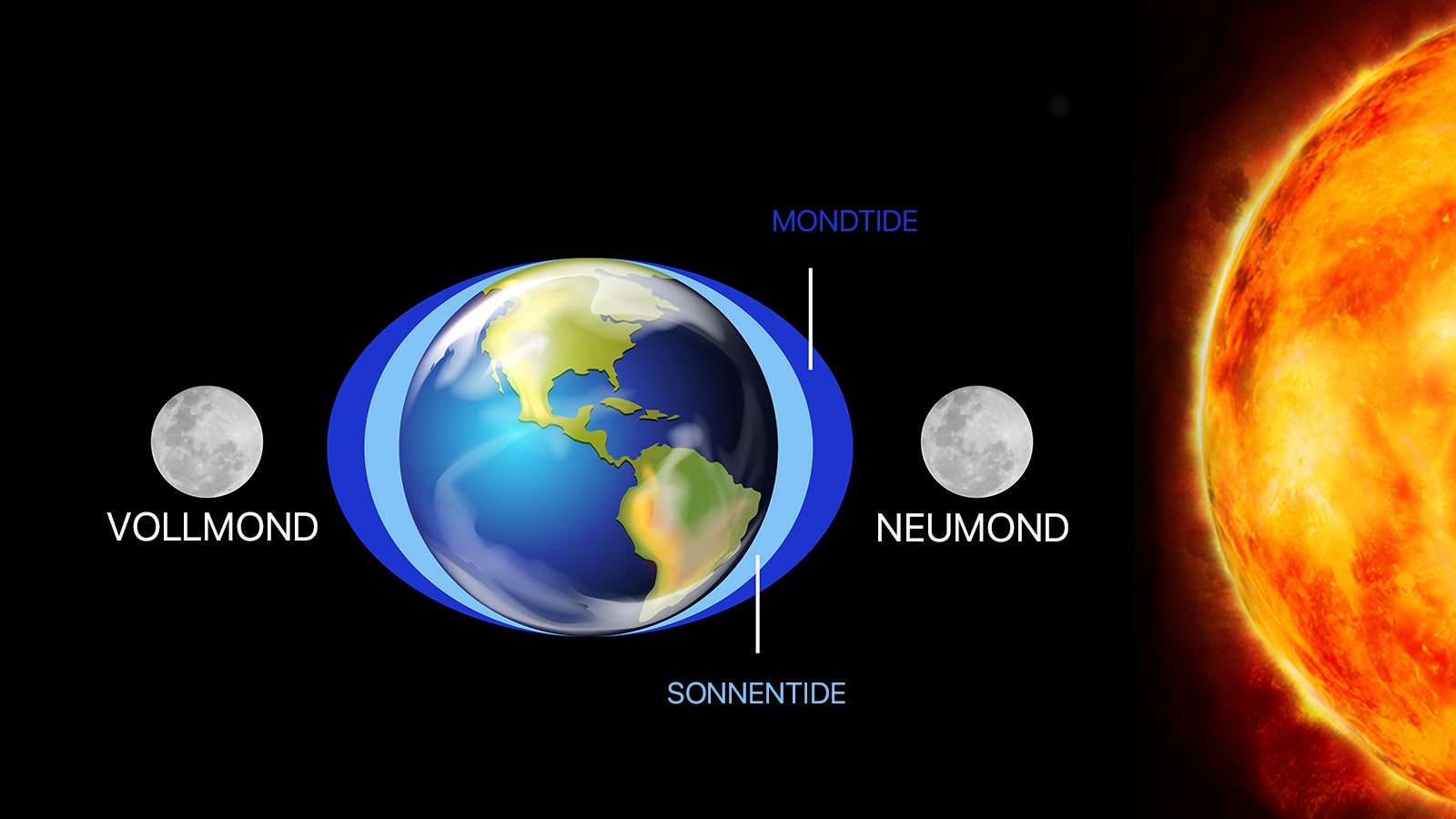 Auch die Sonne beeinflusst durch ihre Anziehungskraft die Gezeiten in &auml;hnlicher Weise wieder der Mond &ndash; allerdings nicht so stark. Deshalb fallen Mondtiden st&auml;rker aus als Sonnentiden. F&uuml;r die Gezeitenangaben werden Wirkung von Sonne und Mond addiert. 