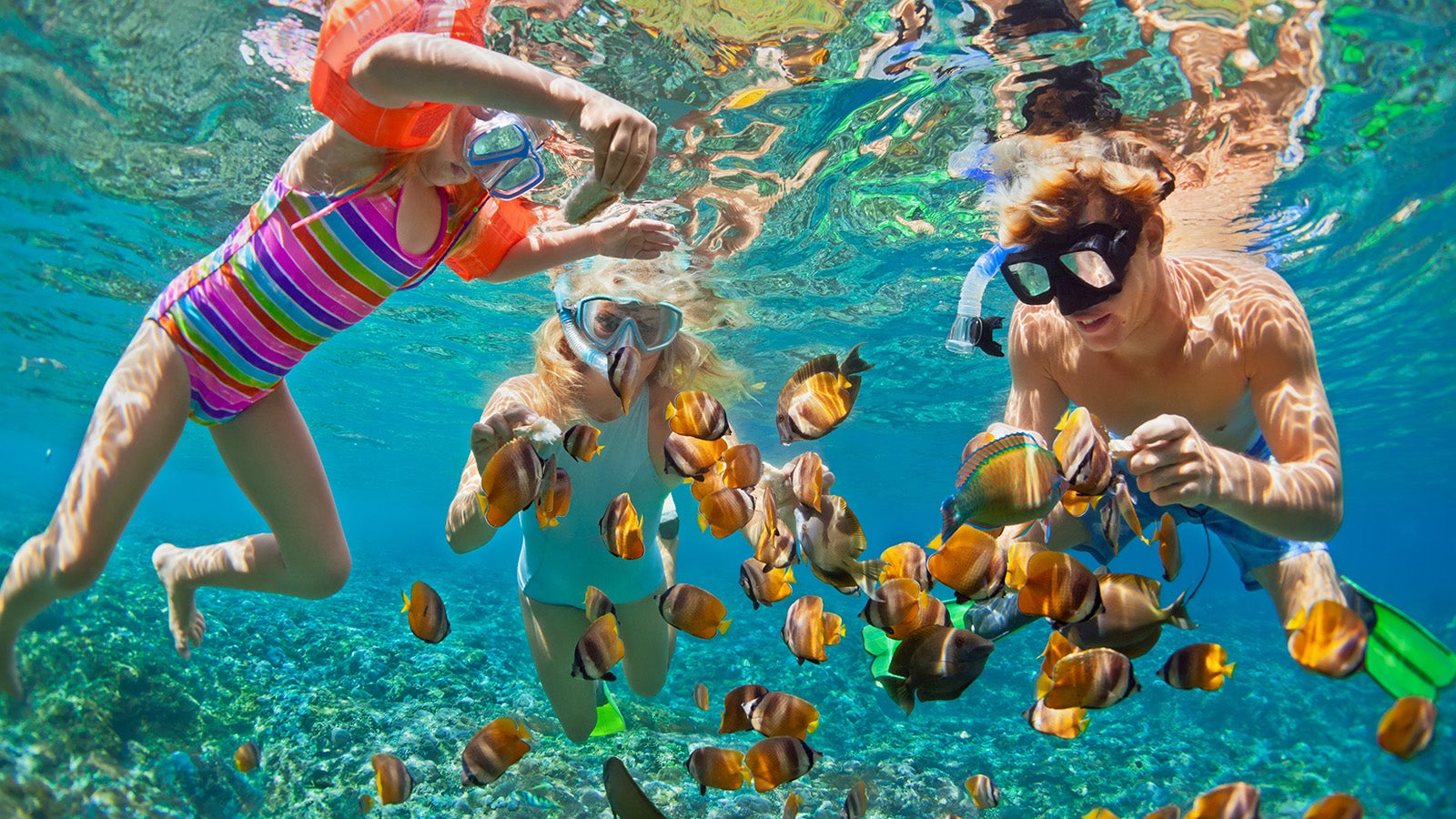 Happy family - father, mother, child in snorkeling mask dive underwater with tropical fishes in coral reef sea pool. Travel lifestyle, water sport adventure, swimming on summer beach holiday with kids