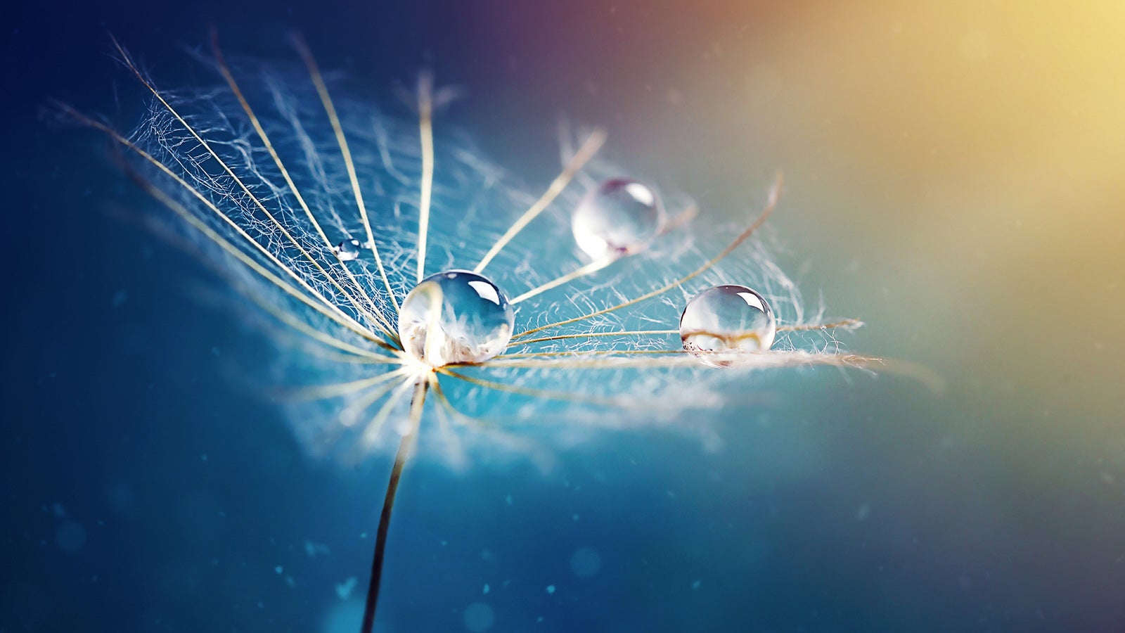 Am Taupunkt betr&auml;gt die relative Luftfeuchtigkeit 100 Prozent: Die Luft ist mit Wasserdampf ges&auml;ttigt.