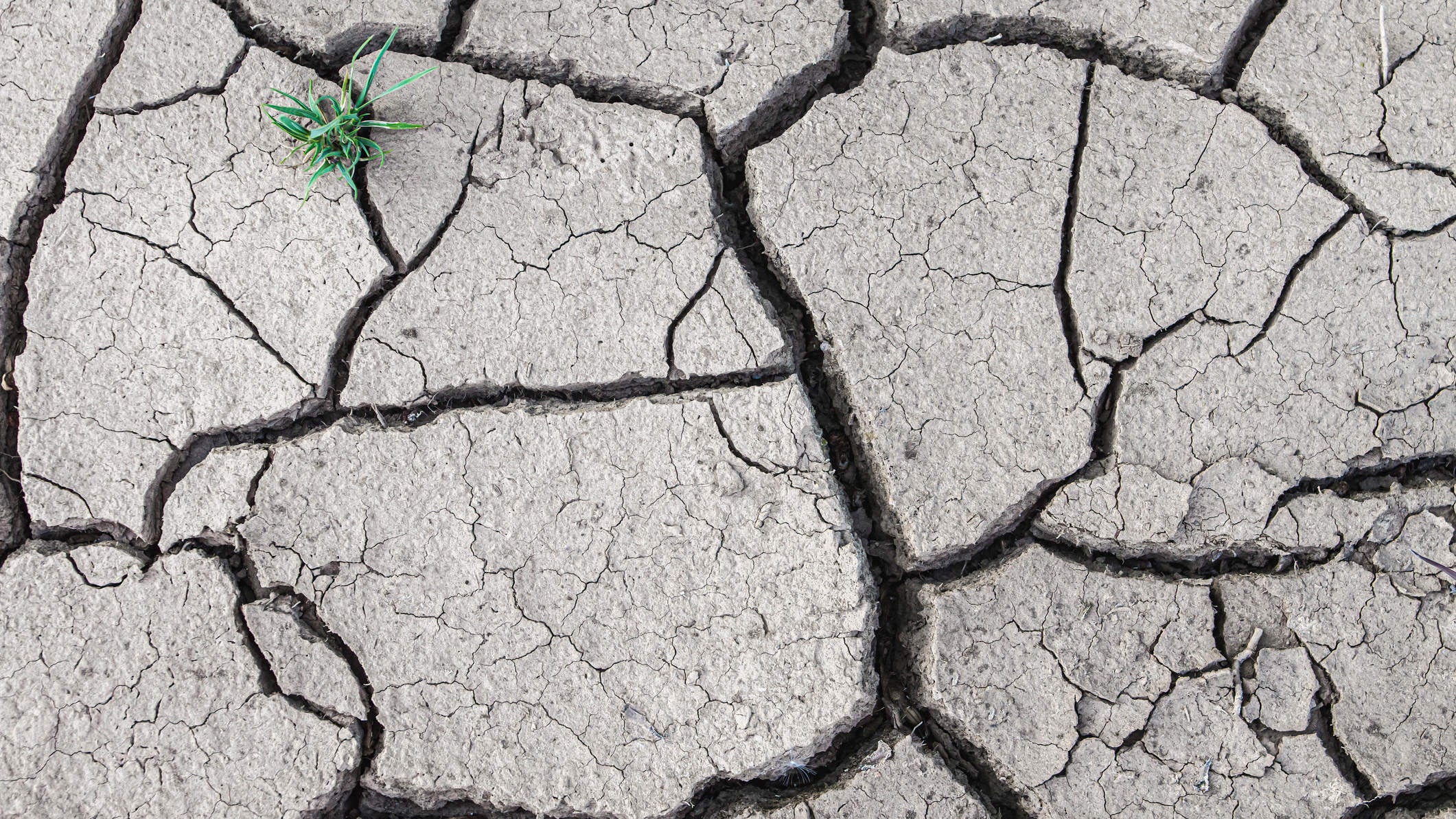 Cracked earth from dry reservoir bed.
