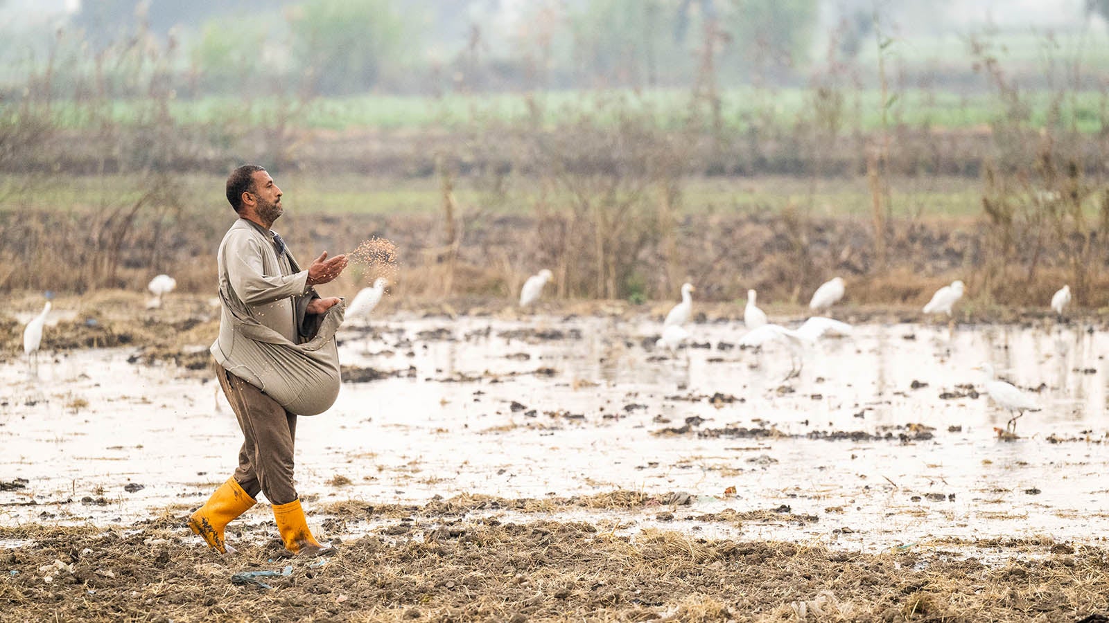 ARCHIV - 13.11.2022, &Auml;gypten, Alexandria: Ein Bauer s&auml;ht auf einem Feld von einem Landwirtschaftlichen Projekt f&uuml;r Wasserversorgung von der Deutschen Gesellschaft f&uuml;r Internationale Zusammenarbeit GIZ Samen aus. Entwicklungsministerin Schulze besucht w&auml;hrend der COP 27 in Sharm el Sheik verschiedene Entwicklungsprojekte im Land. Foto: Christophe Gateau/dpa +++ dpa-Bildfunk +++