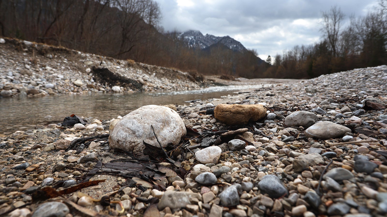 PRODUKTION - 23.02.2023, Bayern, Schwangau: Nur wenig Wasser f&uuml;hrt der Gebirgsbach P&ouml;llat. Angesichts der vielfach geringen Schneedecke in den Alpen und des regenarmen Februars droht laut Experten bald massive Trockenheit. (zu dpa: &laquo;Alarmierend wenig Schnee: Massive Trockenheit droht&raquo;) Foto: Karl-Josef Hildenbrand/dpa +++ dpa-Bildfunk +++