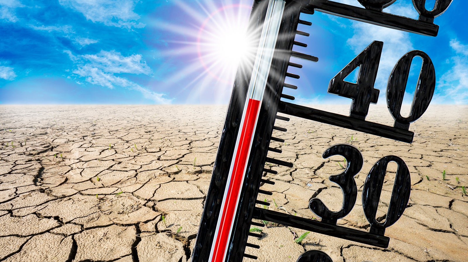 high temperature on thermometer over cracks in the dried out ground