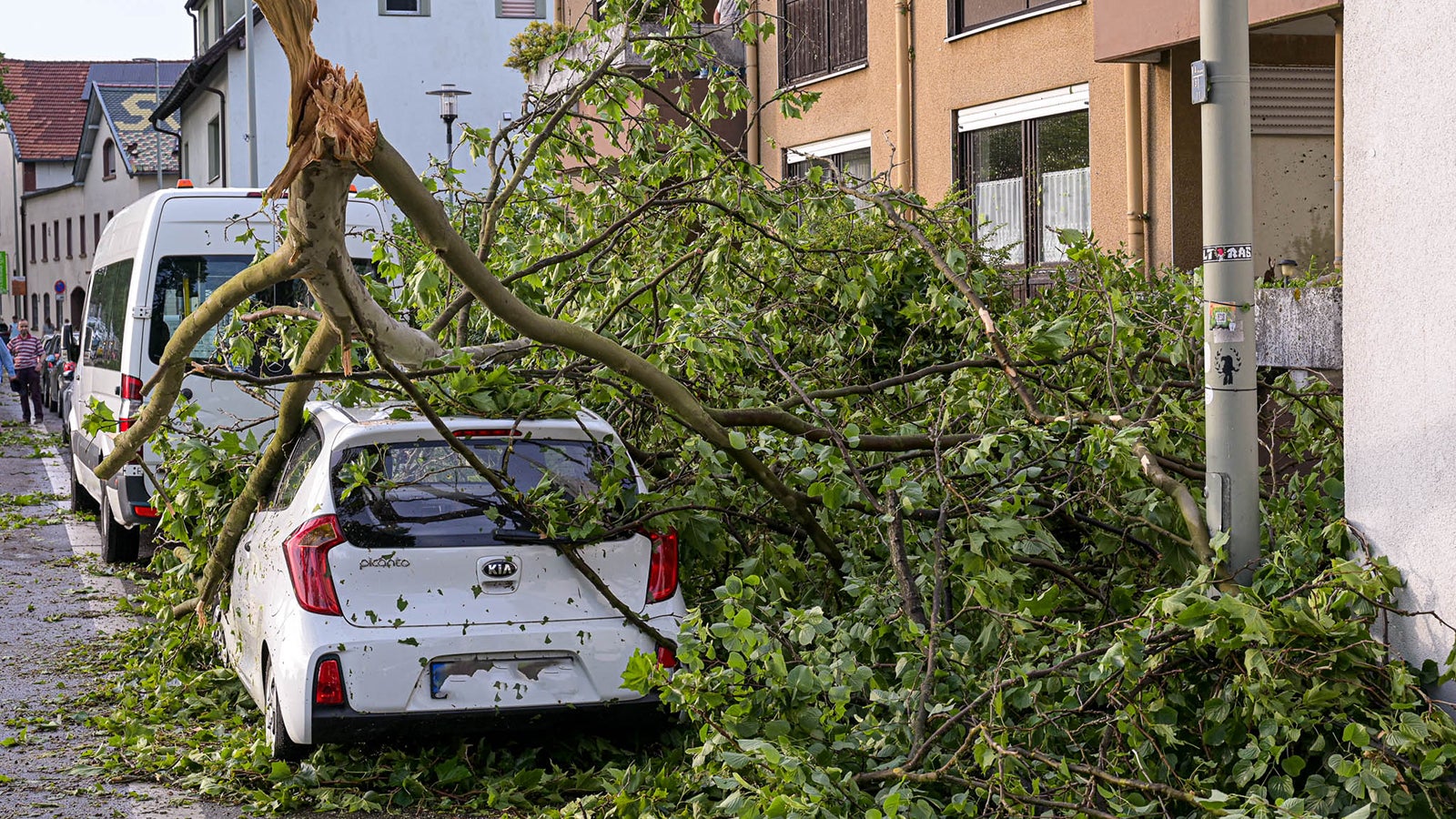 dpatopbilder - 22.06.2023, Hessen, Kelsterbach: &Auml;ste eines Baumes liegen auf einem Auto. Laut Polizeipr&auml;sidium Darmstadt fielen im Raum Kelsterbach nahe Frankfurt Dachziegel auf einige geparkte Autos. Auch st&uuml;rzten mehrere B&auml;ume um und es krachten &Auml;ste auf Stra&szlig;en. Foto: Jonas Kie&szlig;ling/Wiesbaden112/dpa +++ dpa-Bildfunk +++