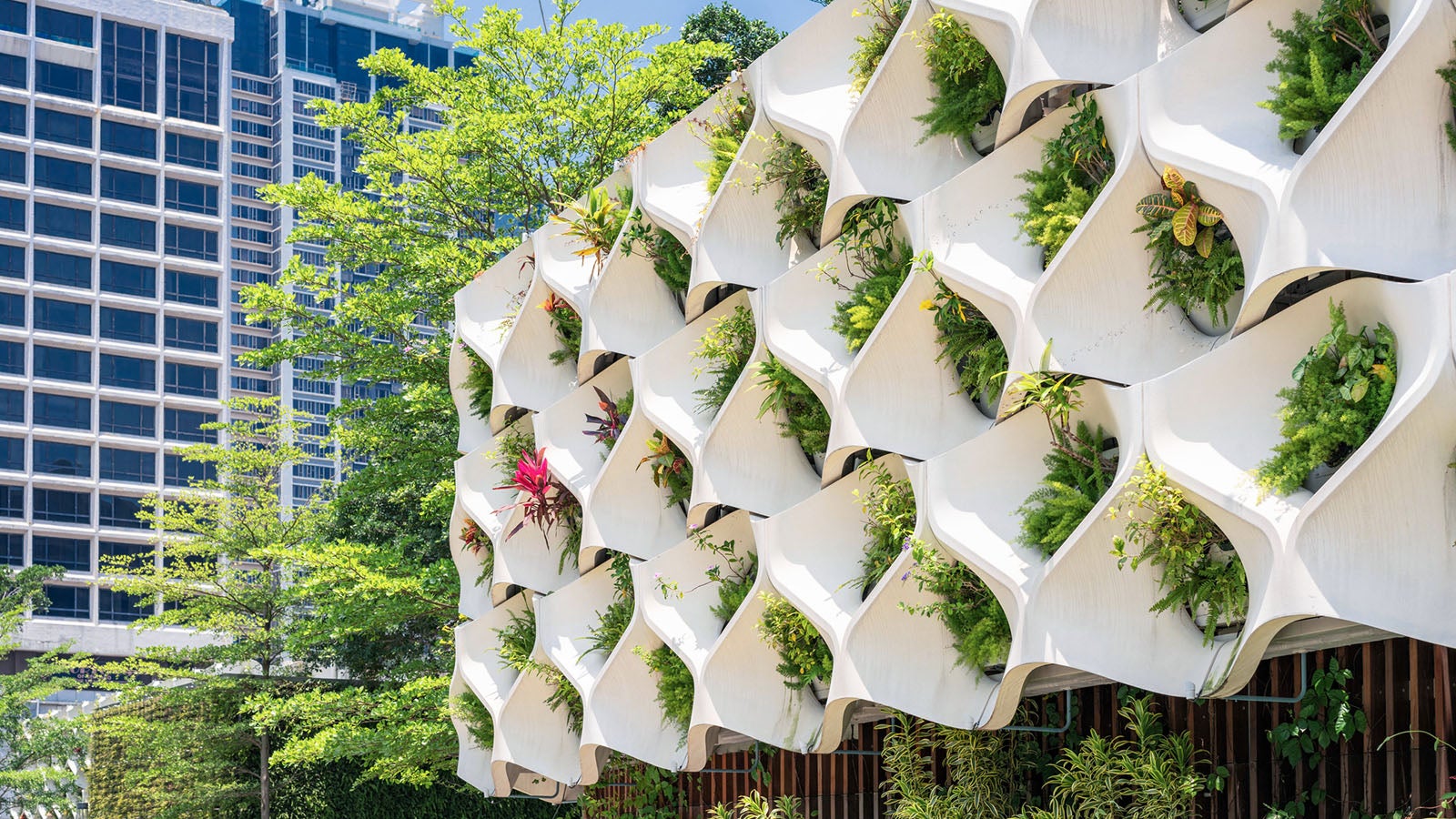 Plants growing in a vertical wall arrangement at Hong Kong's Salisbury Garden, a small public park in Tsim Sha Tsui, Kowloon.