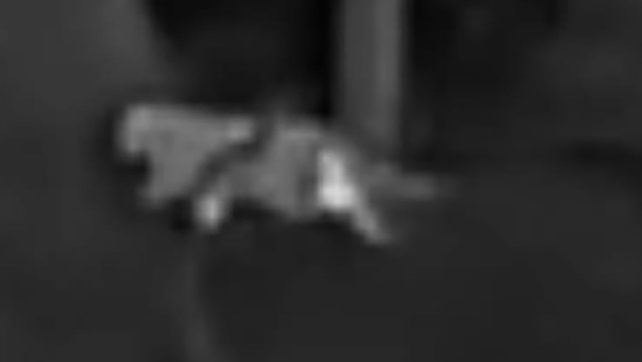 In einem Waldgebiet bei Kalenborn (Landkreis Ahrweiler in Rheinland-Pfalz) hat ein J&auml;ger diese Foros von einer vermeintlichen Gro&szlig;katze aufgenommen. Foto: Privat/VG Altenahr/dpa - ACHTUNG: Nur zur redaktionellen Verwendung im Zusammenhang mit der aktuellen Berichterstattung und nur mit vollst&auml;ndiger Nennung des vorstehenden Credits - Bestm&ouml;gliche Qualit&auml;t +++ dpa-Bildfunk +++