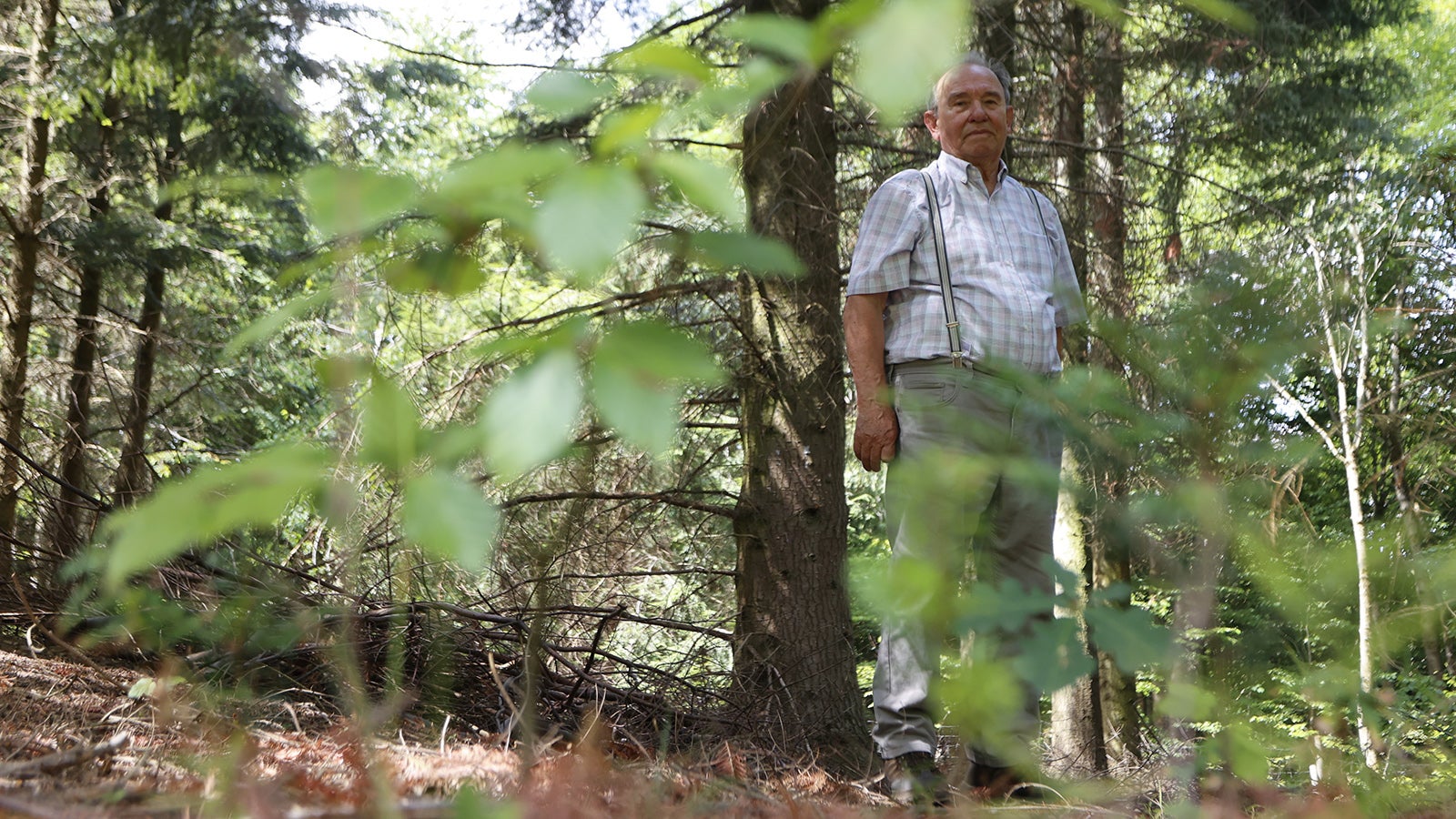 04.08.2022, Sachsen-Anhalt, Hasselfelde: Revierleiter a.D. Werner Gutbier steht inmitten des &Ouml;ko-Kamps in Hasselfelde. Das Freiluftlabor  &Ouml;ko-Kamp am T&auml;nnichen ist ein sogenannter Versuchswald. Hier wird gezeigt, wie sich unterschiedliche Baumarten entwickeln. (zu dpa &laquo;Ein Versuchswald zeigt, wie der Klimawandel wirkt&raquo;) Foto: Matthias Bein/dpa +++ dpa-Bildfunk +++