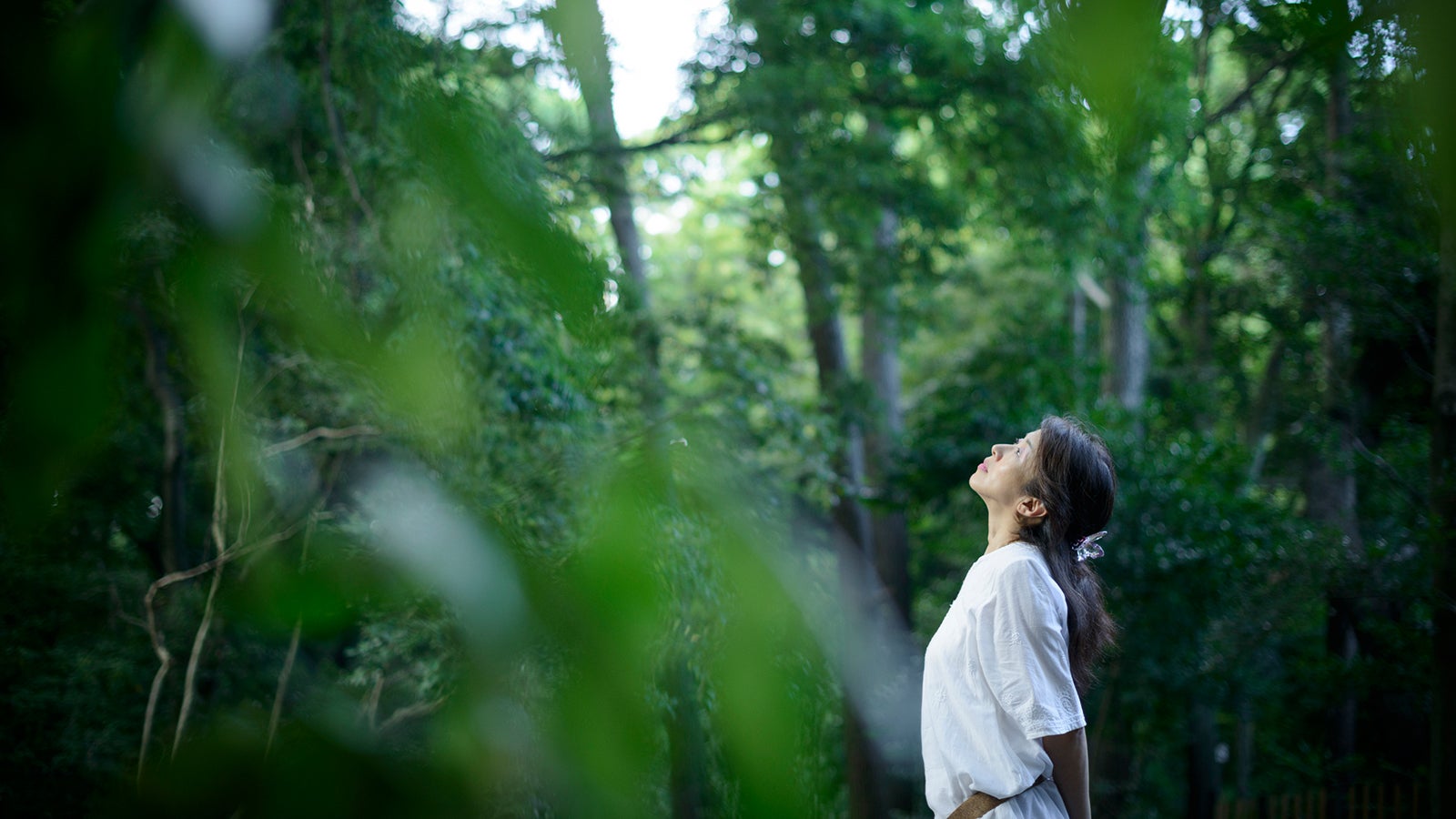Neu ist Waldbaden nicht. Diese japanische Tradition wird schon seit Mitte des 17. Jahrhunderts betrieben. 