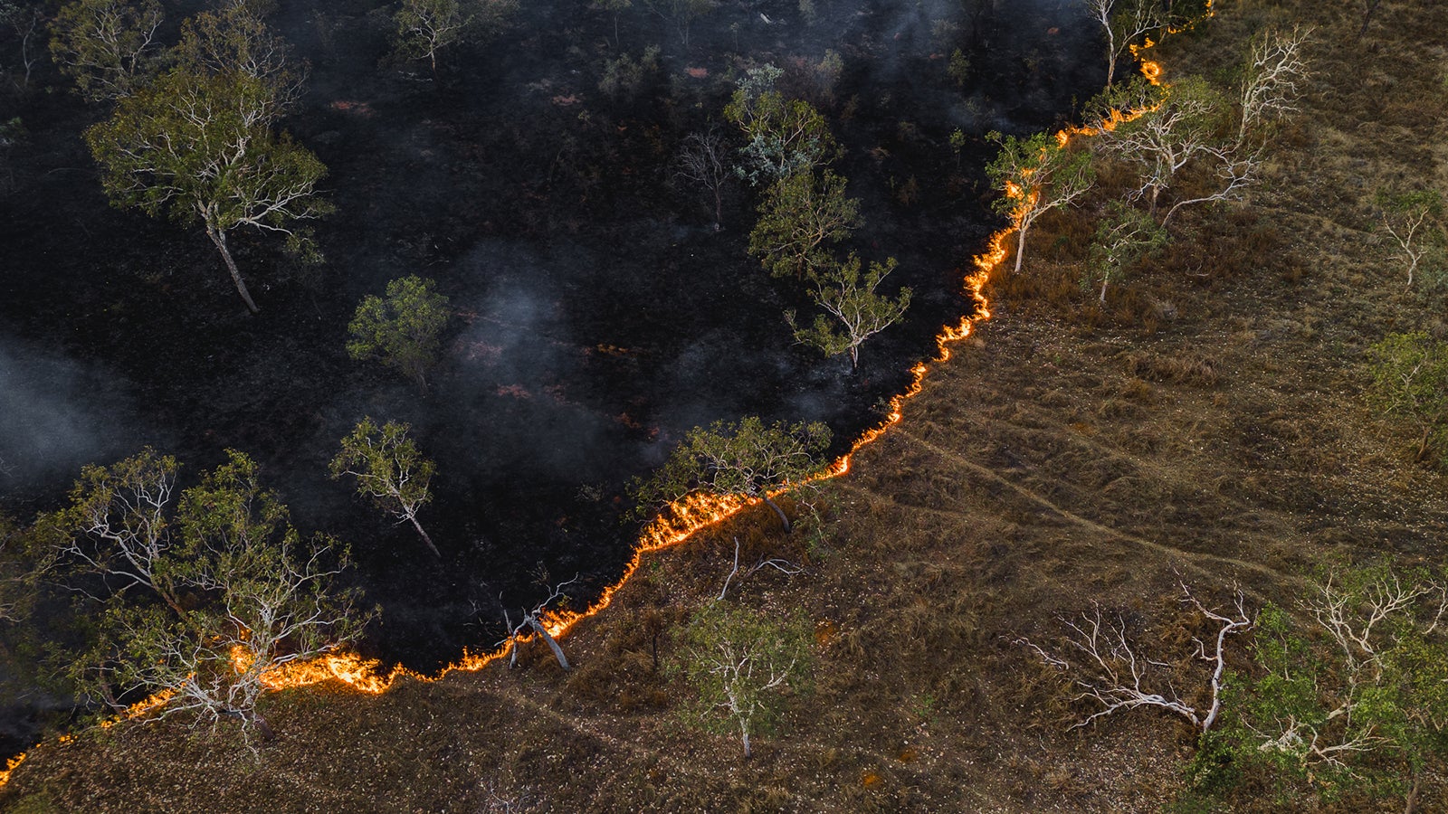 Forschern zufolge gehen seit den 2010-Jahren mehr Todesf&auml;lle durch Luftverschmutzung infolge von Waldbr&auml;nden auf das Konto des Klimawandels. Europa ist besonders betroffen.