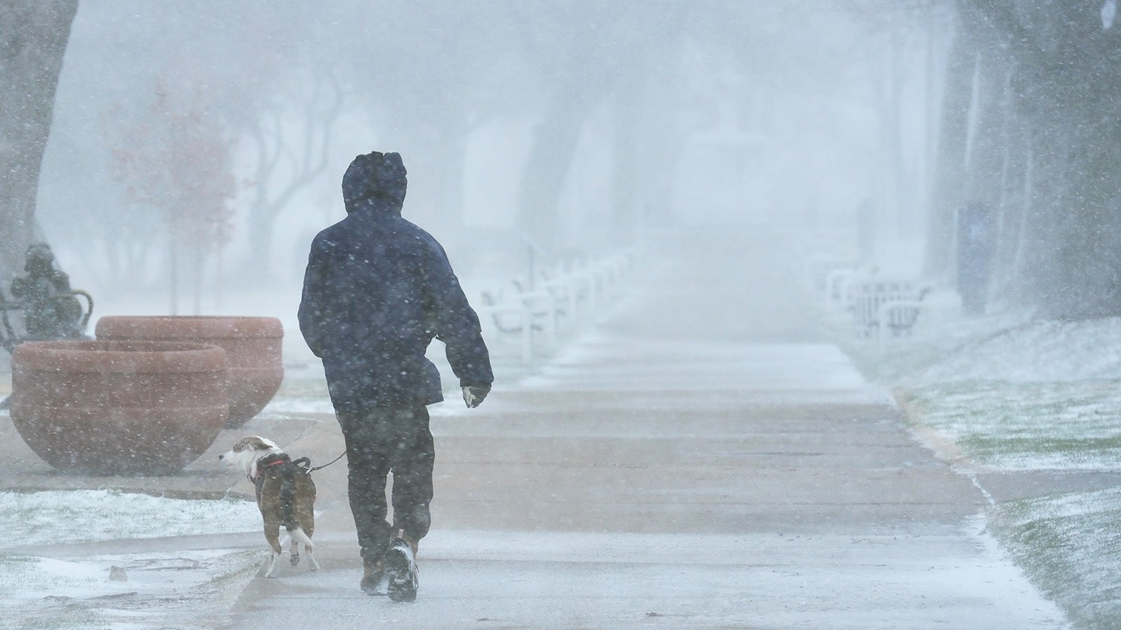 SchneeverwBlowing and drifting snow blankets Lion Park in St. Joseph, Mich., Monday, March 16, 2026, as a winter storm moves across Michigan. (Don Campbell/The Herald-Palladium via AP)