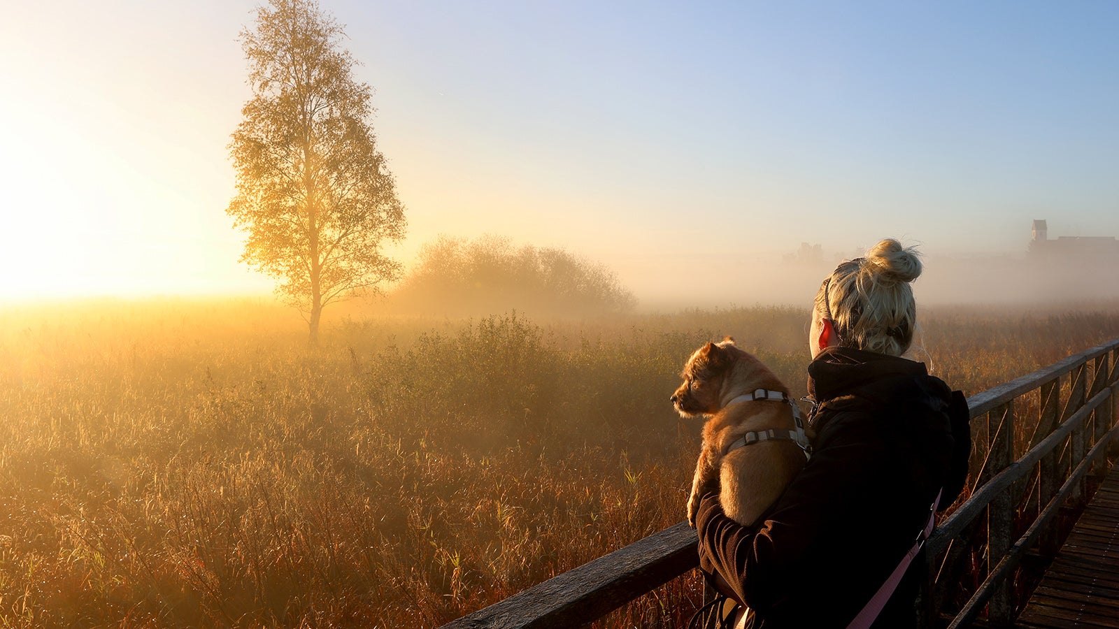 Eine Frau steht am Morgen mit ihrem Hund auf dem Federseesteg und schaut sich den Sonnenaufgang an. Der Federsee bei Bad Buchau in Oberschwaben ist mit einer Fl&auml;che von 1,4 Quadratkilometer der zweitgr&ouml;&szlig;te See in Baden-W&uuml;rttemberg.