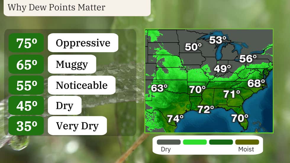 Weather Explainer Weather Words: Why The 'Dew Point' Matters | Weather.com
