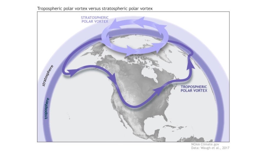 Diagram showing stratospheric and tropospheric polar vortexes