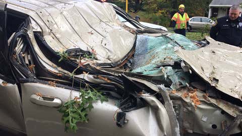 A car is crushed by a fallen tree in Wallingford, Connecticut. The driver survived the incident. (twitter/@jscheckerNBCCT)