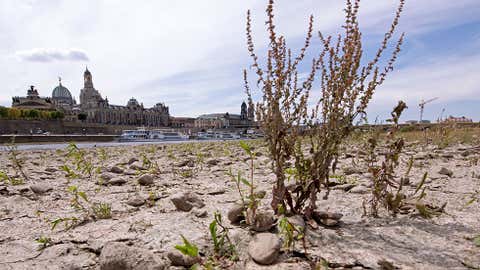 A large part of the Elbe river bed is dried out during a long time of drought in front of the skyline with the Frauenkirche cathedral (Church of Our Lady) in Dresden, Germany, Monday, July 9, 2018.The current water level of the Elbe near Dresden lies at 0,55 meters. (AP Photo/Jens Meyer)