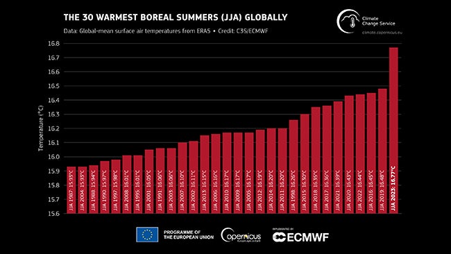 Earth's Record Hottest August, Boreal Summer | Weather.com