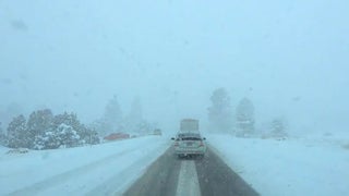 Hasnt Snowed This Much In 100 Years Airport Highways Shut Down Hasnt Snowed This Much In 100 Years Airport Highways Shut Down