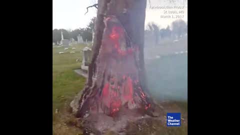 De nombreuses vidéos montrent des arbres rougeoyants à l’intérieur, mais intacts à l’extérieur. (Capture Weather.com)