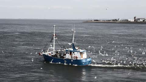 La méthode de la pêche électrique a été rejetée par une majorité de députés européens. (CCO)