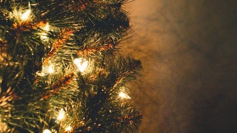 Que Faire De Son Sapin De Noel Une Fois Les Fetes Passees The Weather Channel