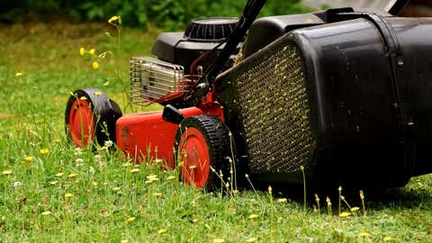 Organismes vivants, les brins d’herbe émettent cette odeur lorsqu’ils sont attaqués. (CCO)