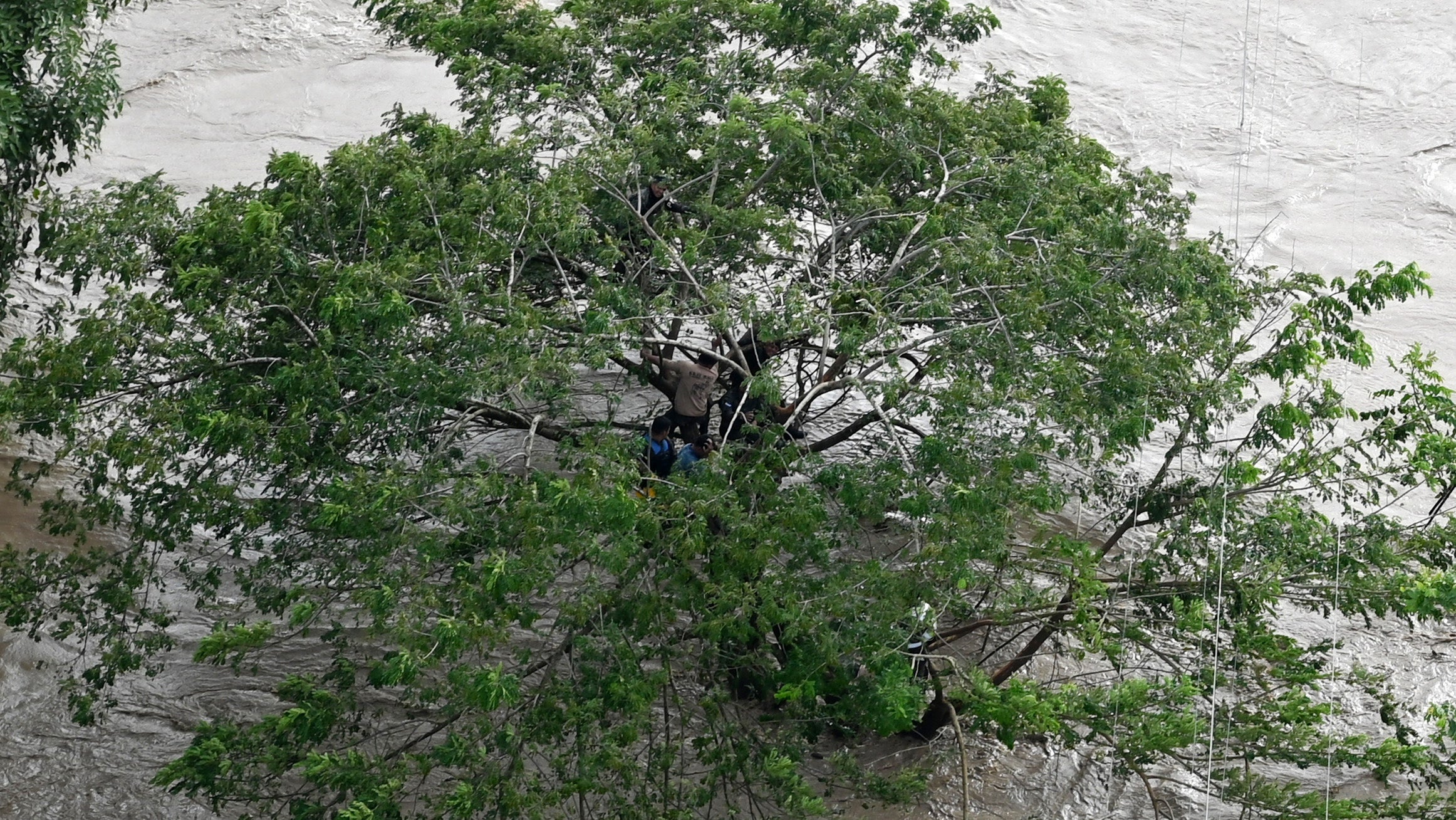 Civilians and police officers who got trapped in a flood clinging to a tree as they are rescued by members of the Honduran Air Force on a helicopter following the overflowing of the Chamelecon River after the passage of Hurricane Iota, in the municipality of Choloma, department of Cortes, Honduras, on Nov. 19, 2020. Iota's death toll rose above 40 on Friday after the year's biggest Atlantic storm unleashed mudslides, tore apart buildings and left thousands homeless across Central America, revisiting areas devastated by another hurricane just two weeks ago. (Orlando Sierra/AFP via Getty Images)