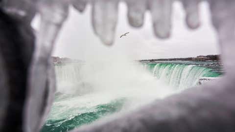 A seagull flies above the Horseshoe Falls in Niagara Falls, Ontario, on Jan. 27, 2021. (Geoff Robins/AFP via Getty Images)