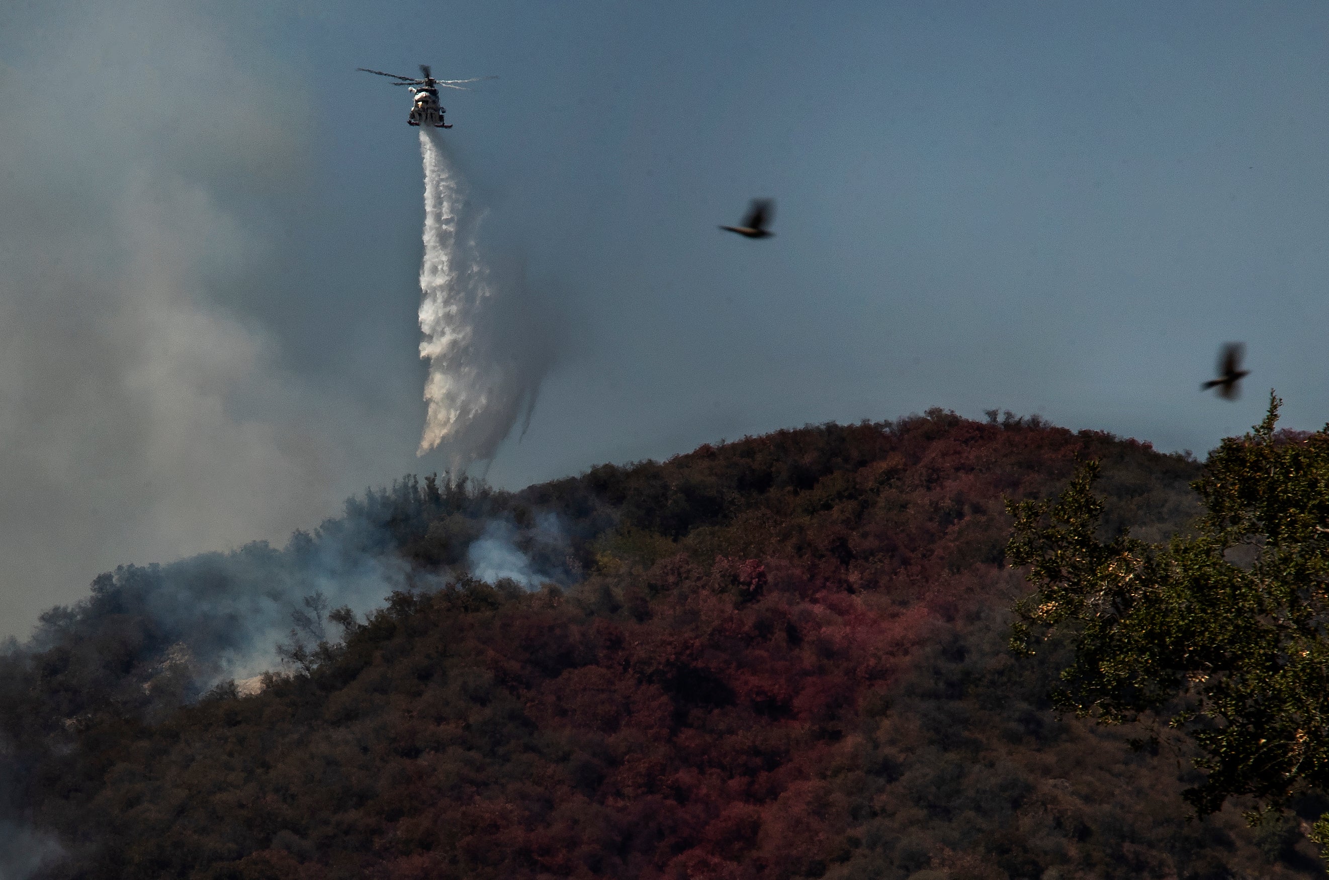 Firefighters battle a 1300 acre brush fire in Pacific Palisades on May 17, 2021. (Mel Melcon / Los Angeles Times via Getty Images)