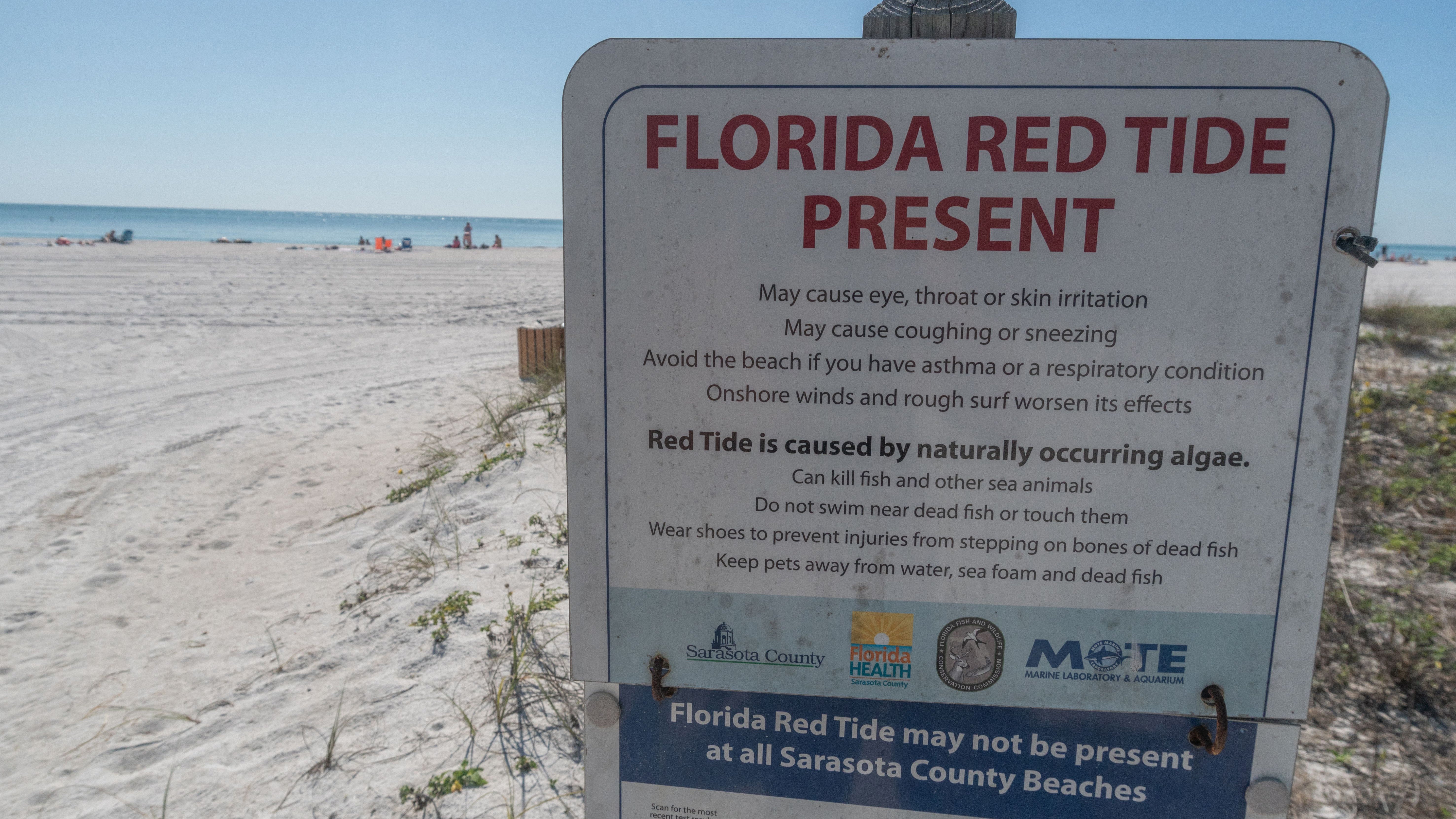 A sign warning of the red tide risk is displayed at Lido Key Beach in Sarasota, Florida, on March 15, 2023. - With its brilliant sun, white sand and turquoise water, Lido Key Beach would make for a perfect postcard of Florida beaches if it weren't for the dozens of dead fish lying on the shore, killed by a toxic algae bloom known as red tide. The bloom usually hits Florida's Gulf Coast in the summer, but this year it has come during spring, a time when thousands of American families flock to the Sunshine State during school break, and the outbreak bodes ill for its tourism sector. (Photo by Jesus Olarte / AFP) (Photo by JESUS OLARTE/AFP via Getty Images)