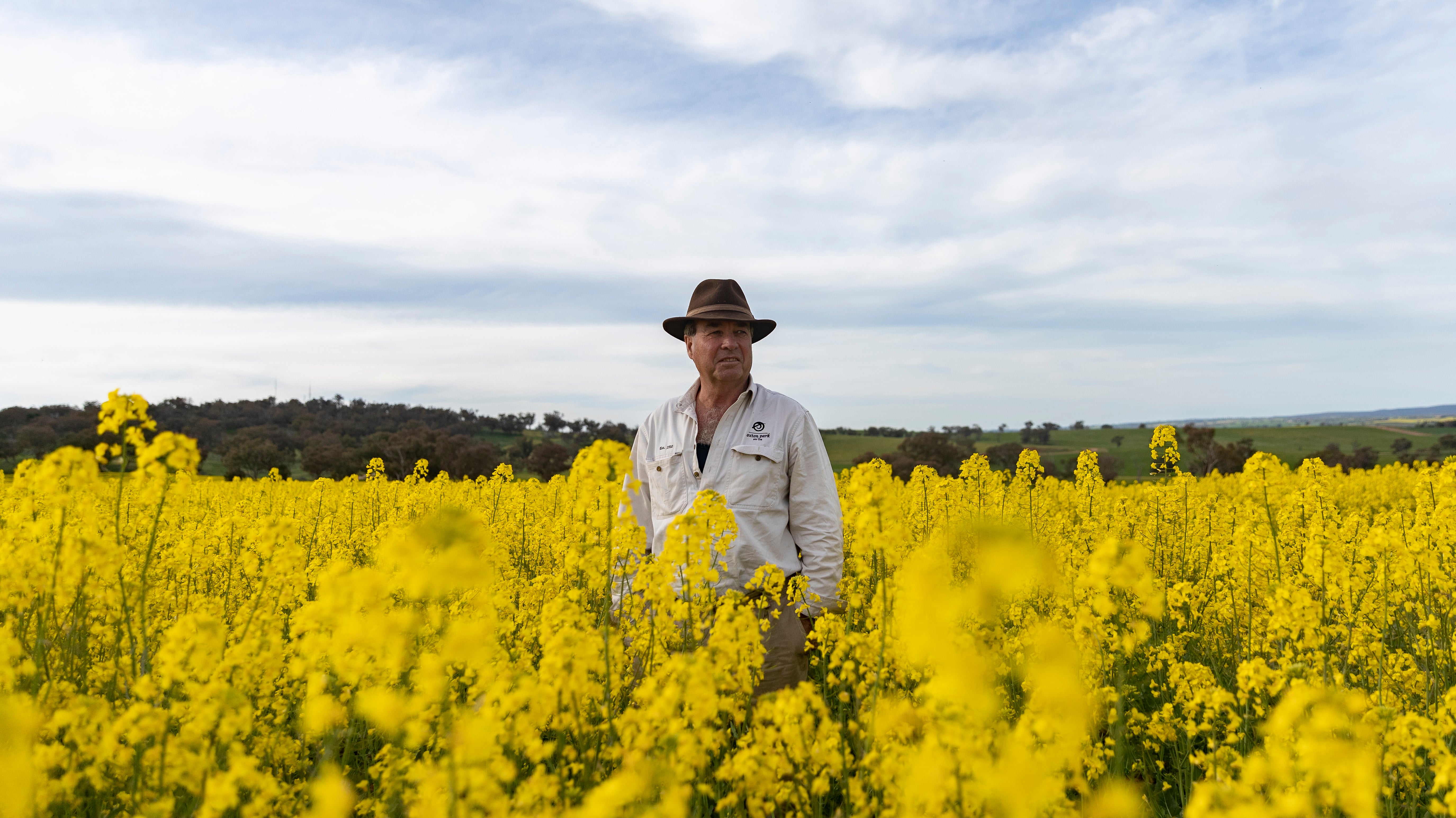 Farmer Peter O'Connor stands amongst this year's bumper crop of Canola on Sept. 30, 2020, in Harden, Australia. The crop represents a 'massive turnaround' for Peter, after years of unrelenting drought across New South Wales. Farmers in NSW are enjoying a great harvest following drought breaking rains during the Australian winter. Above average rainfall between March and August has helped NSW emerge out of a prolonged drought, with winter crop production expected to increase year on year by 60%. (Brook Mitchell/Getty Images)